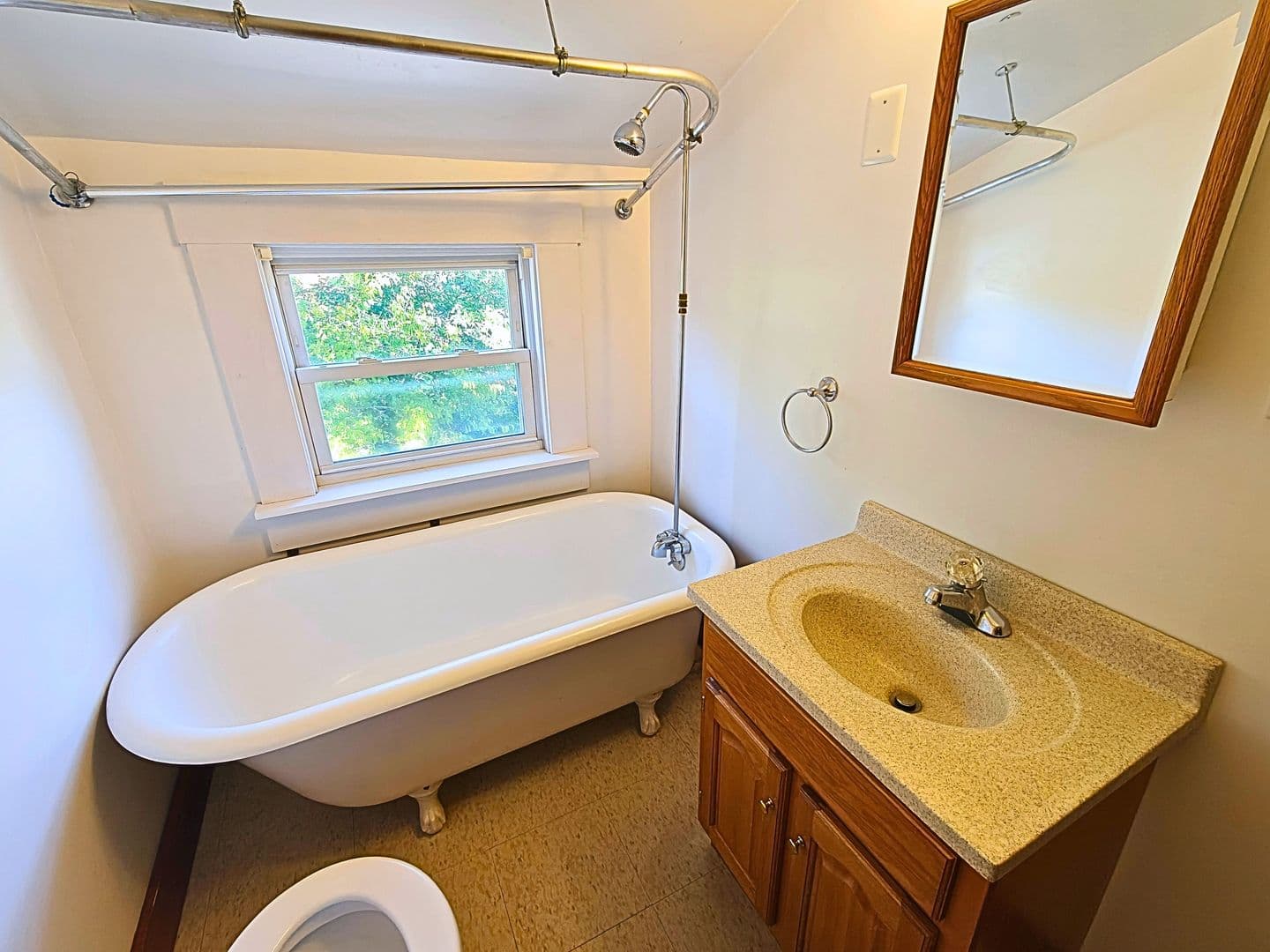 Westfield Apartment: 62 Granville Rd