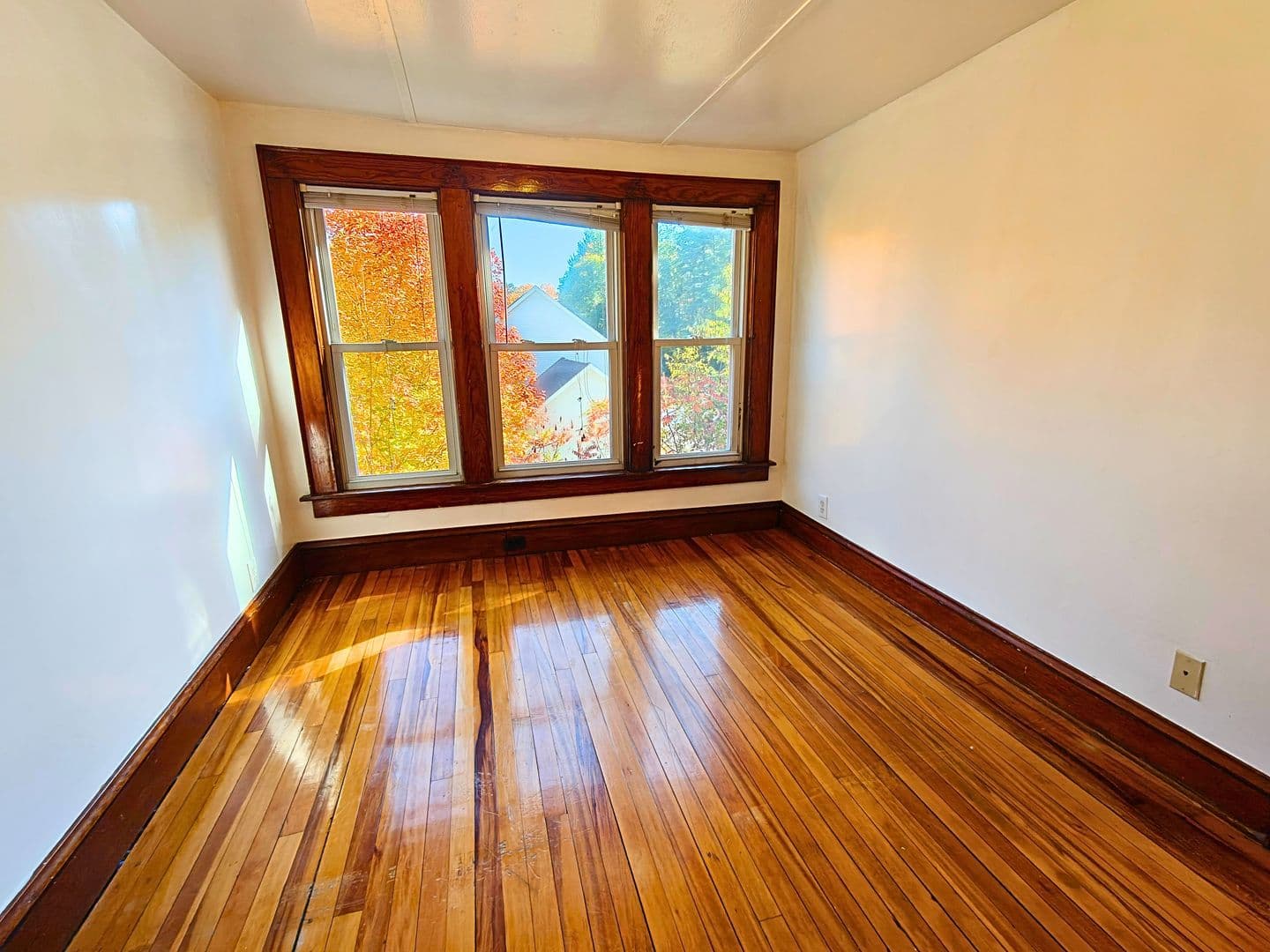 Westfield Apartment: 62 Granville Rd