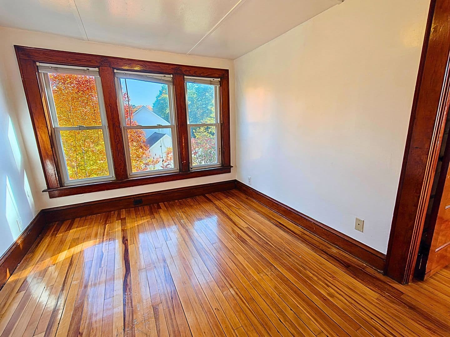 Westfield Apartment: 62 Granville Rd