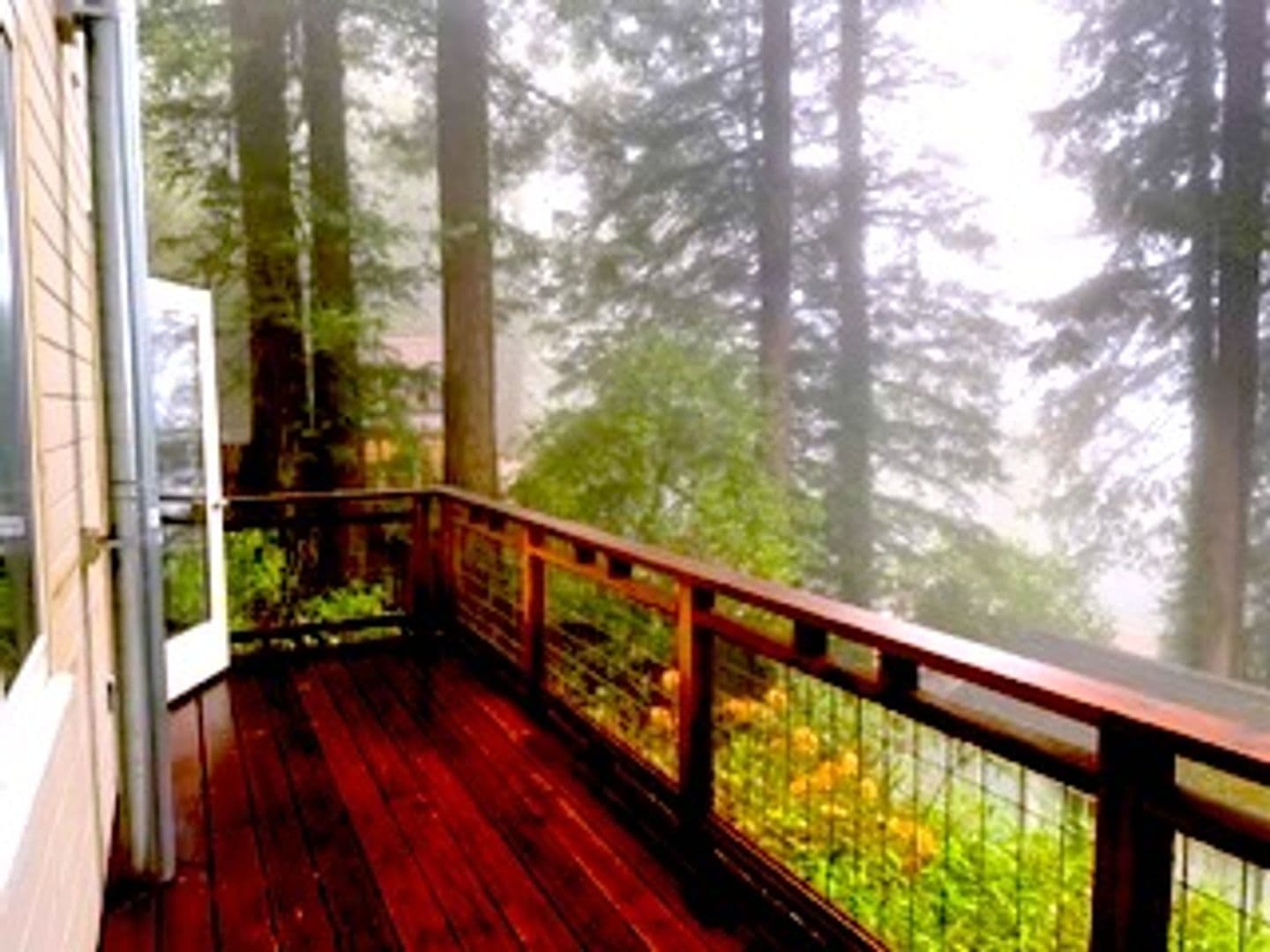 Mill Valley House: 20 Hamilton Ln.