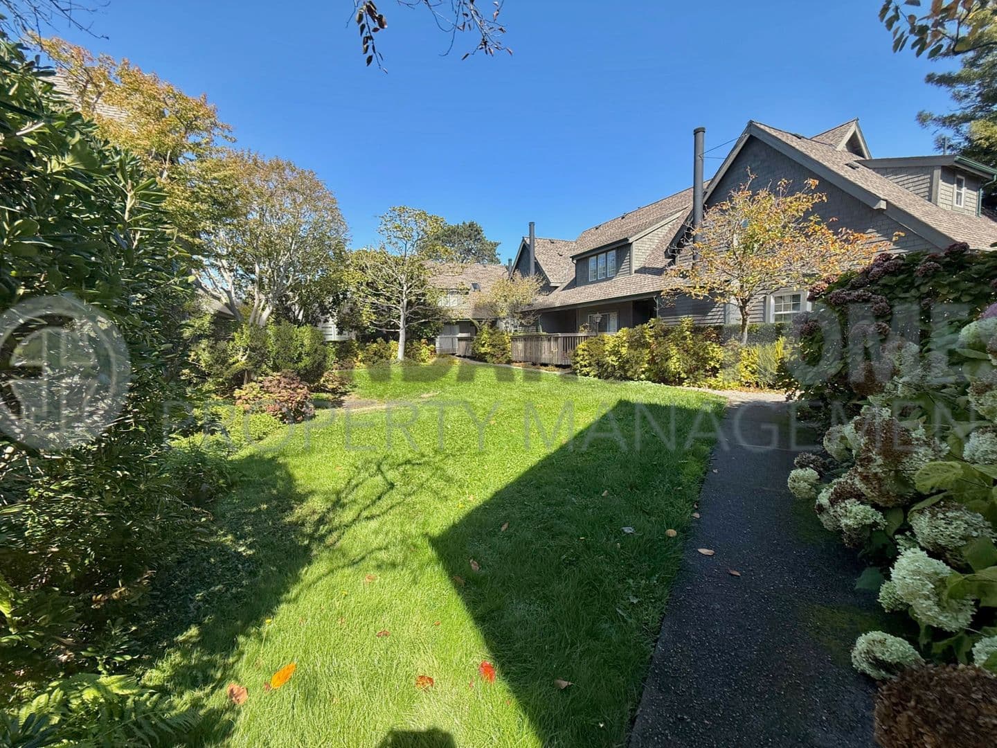 Mill Valley Townhome: 813 Miller Ave