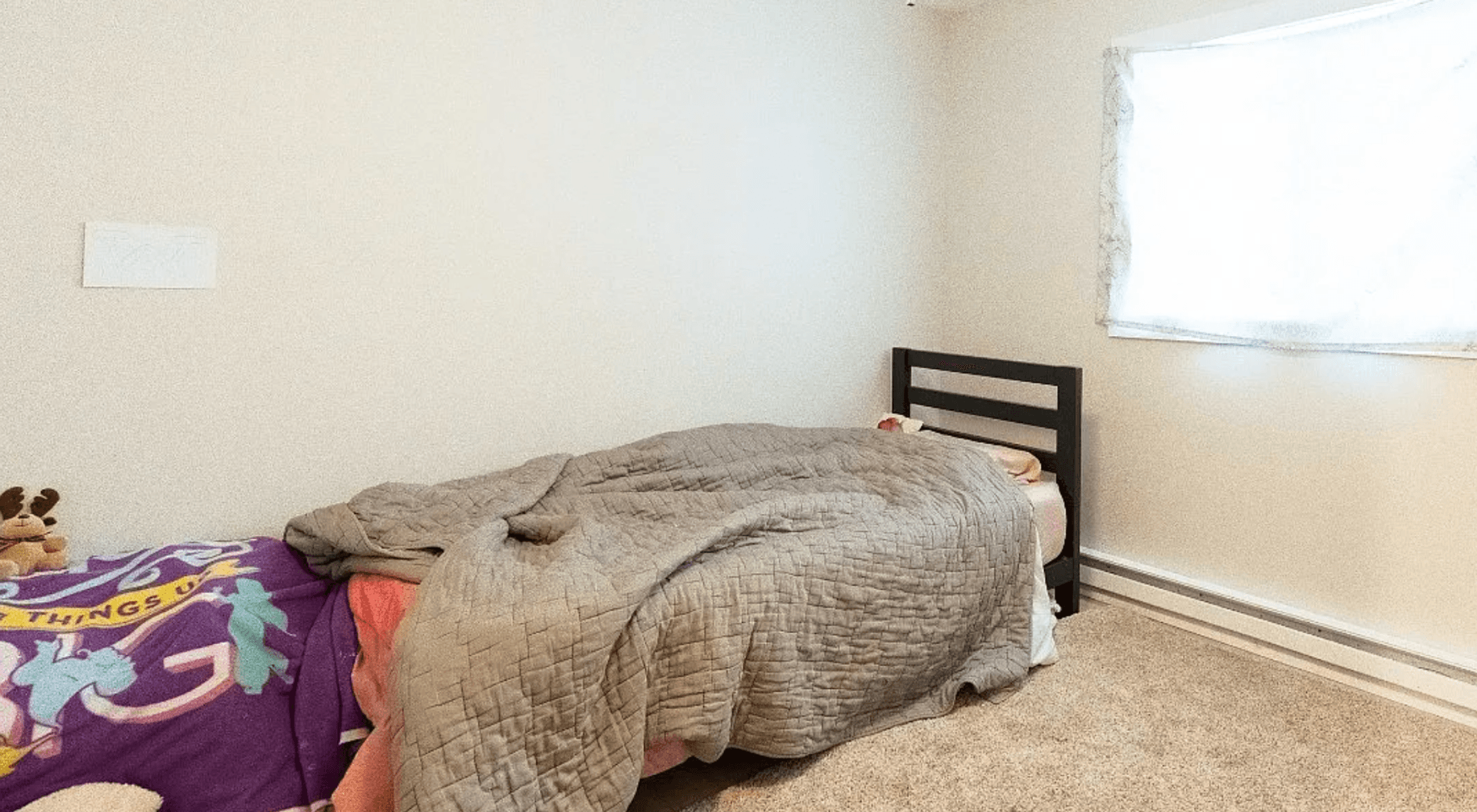 Belgrade Apartment: 206 S Davis