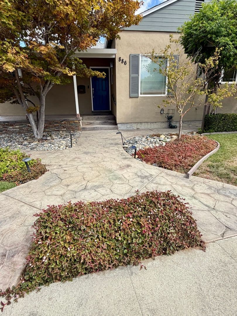 San Jose House: 886 N. Redwood Avenue
