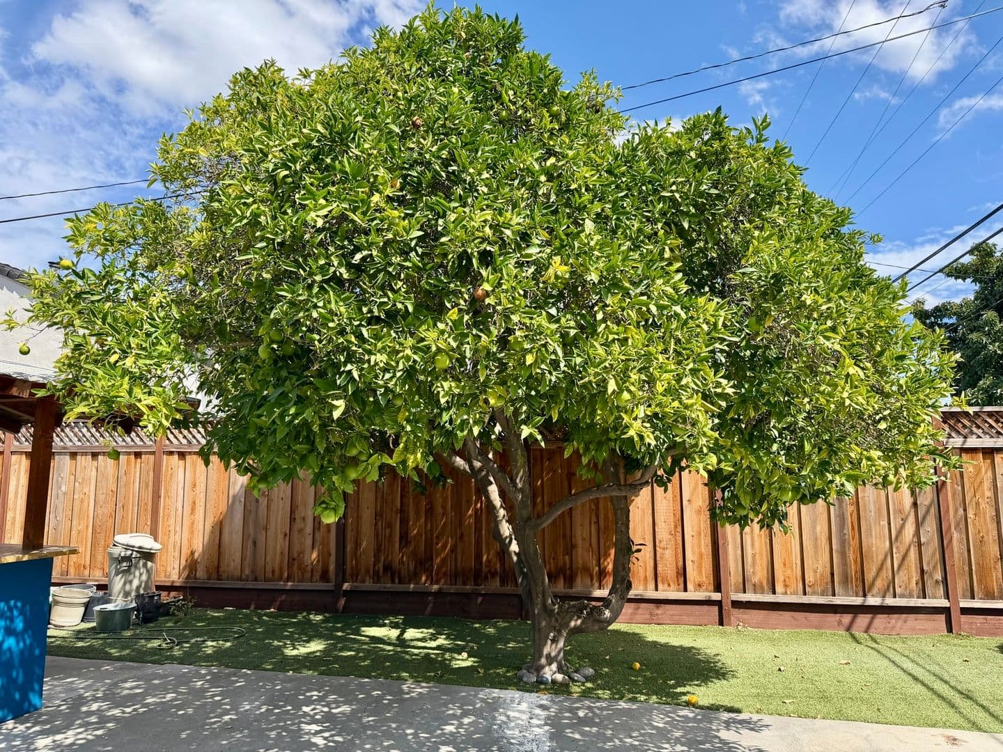 San Jose House: 886 N. Redwood Avenue