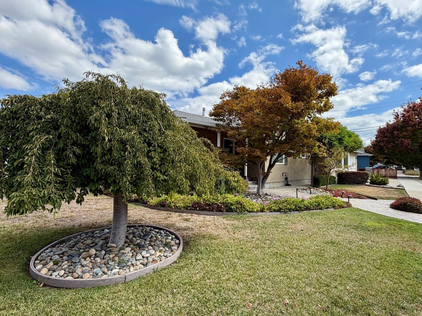 San Jose House: 886 N. Redwood Avenue