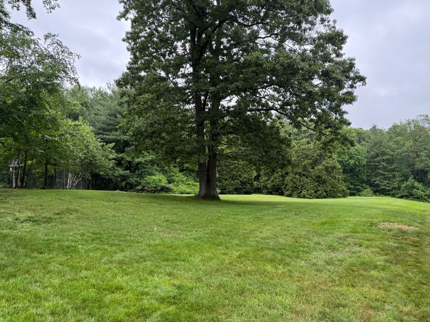 Tyngsboro Condo: 10 Village Lane, unit 9