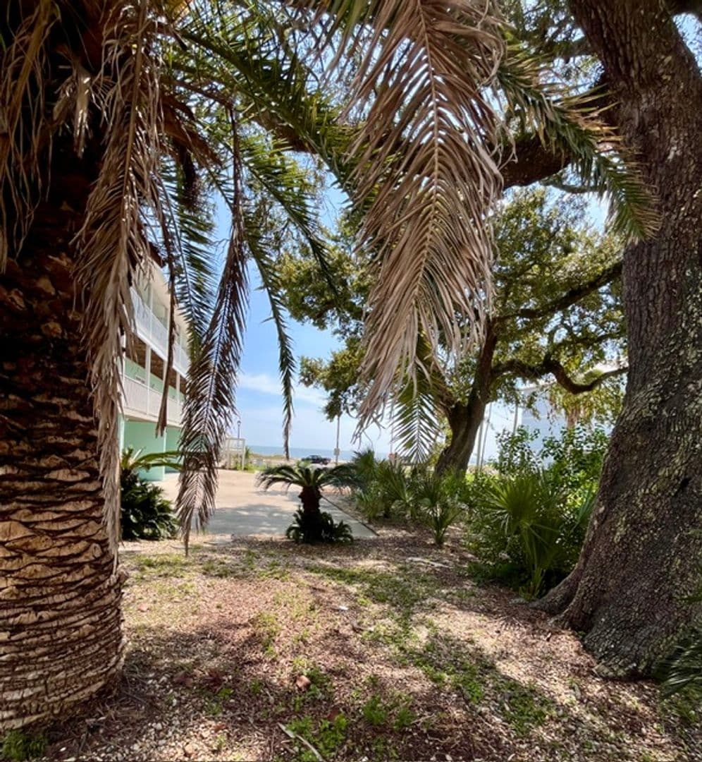 Biloxi House: 1496 Beach Blvd