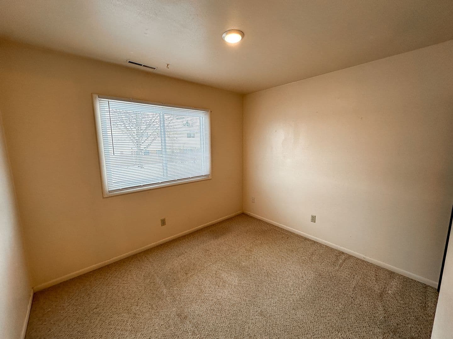 Ames Apartment: 129 S Oak Ave