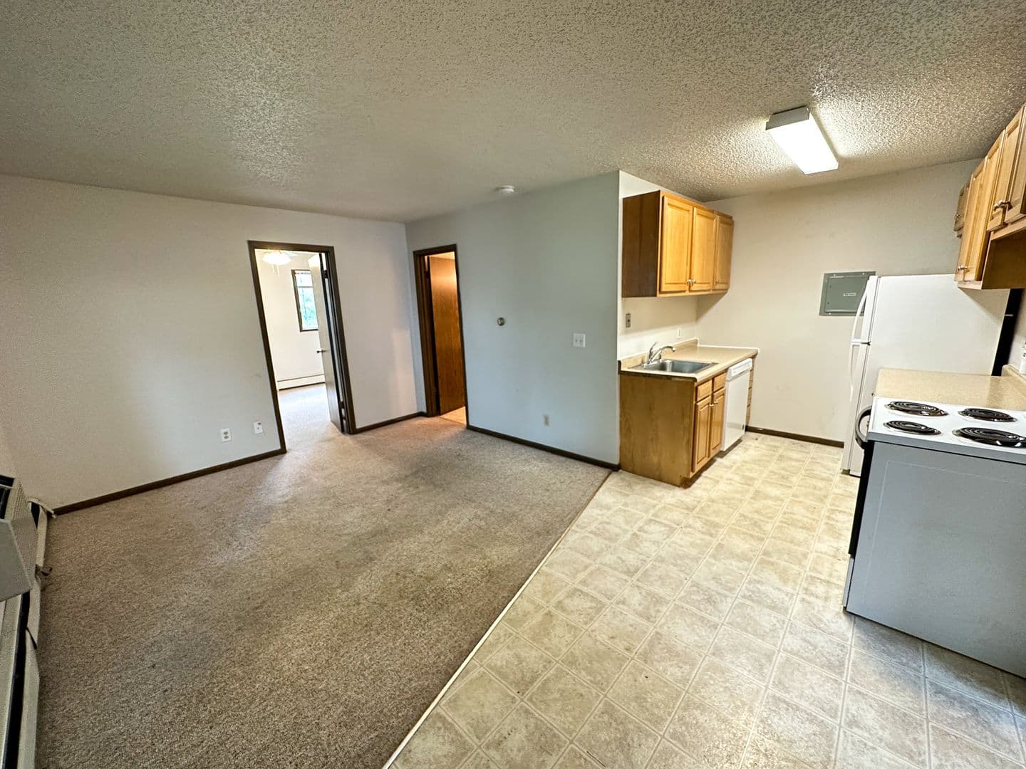 Ames Apartment: 321 Stanton Ave