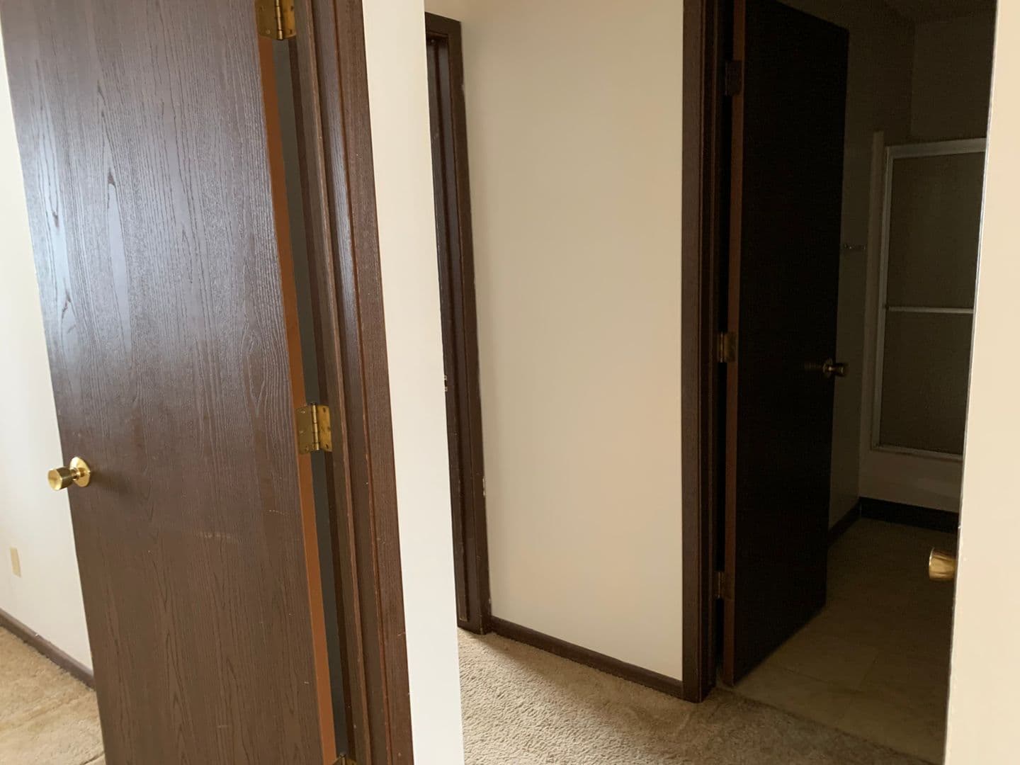 Ames Apartment: 219 Washington Ave