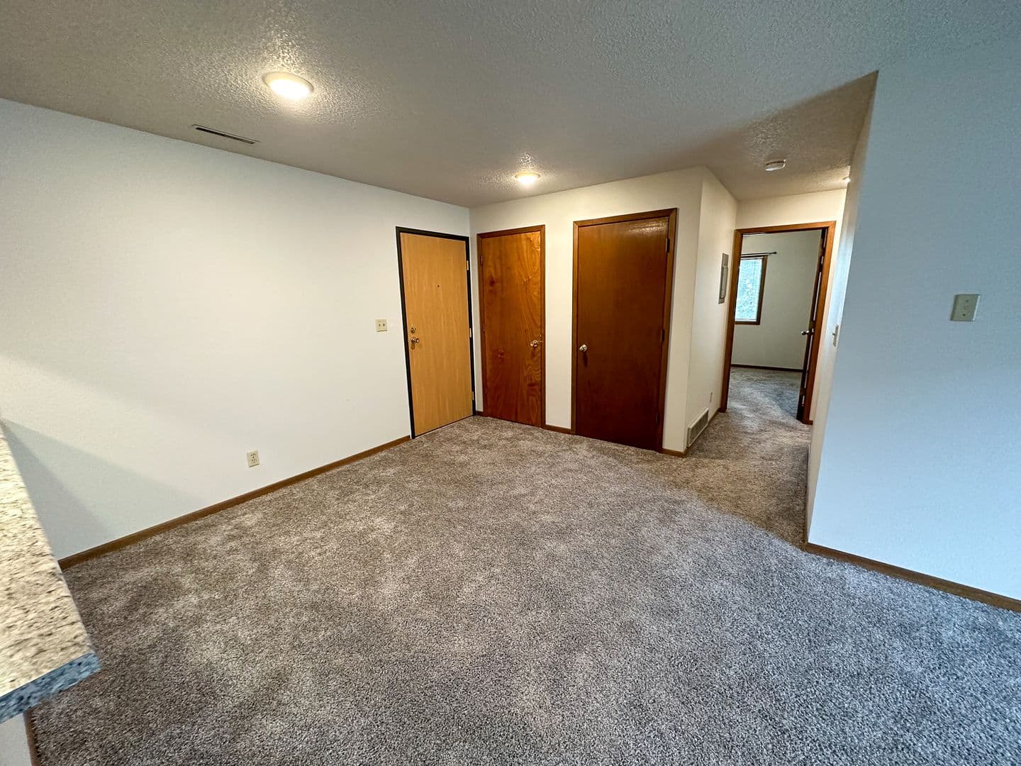 Ames Apartment: 1217 Delaware Ave