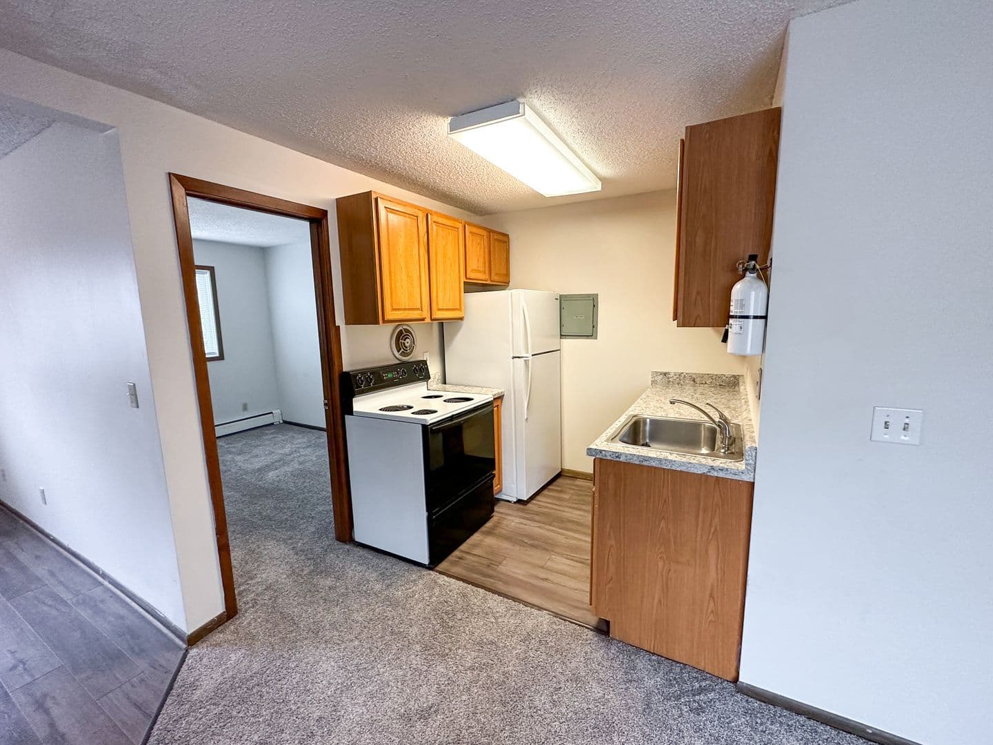 Ames Apartment: 321 Stanton Ave