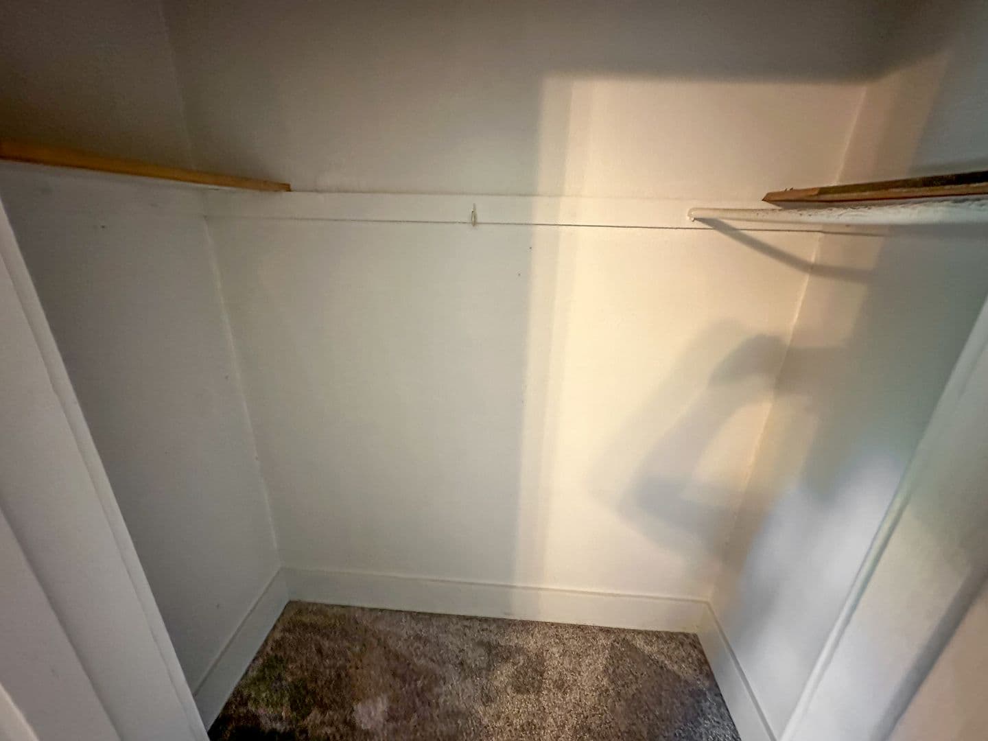 Ames Apartment: 233 Sheldon Ave