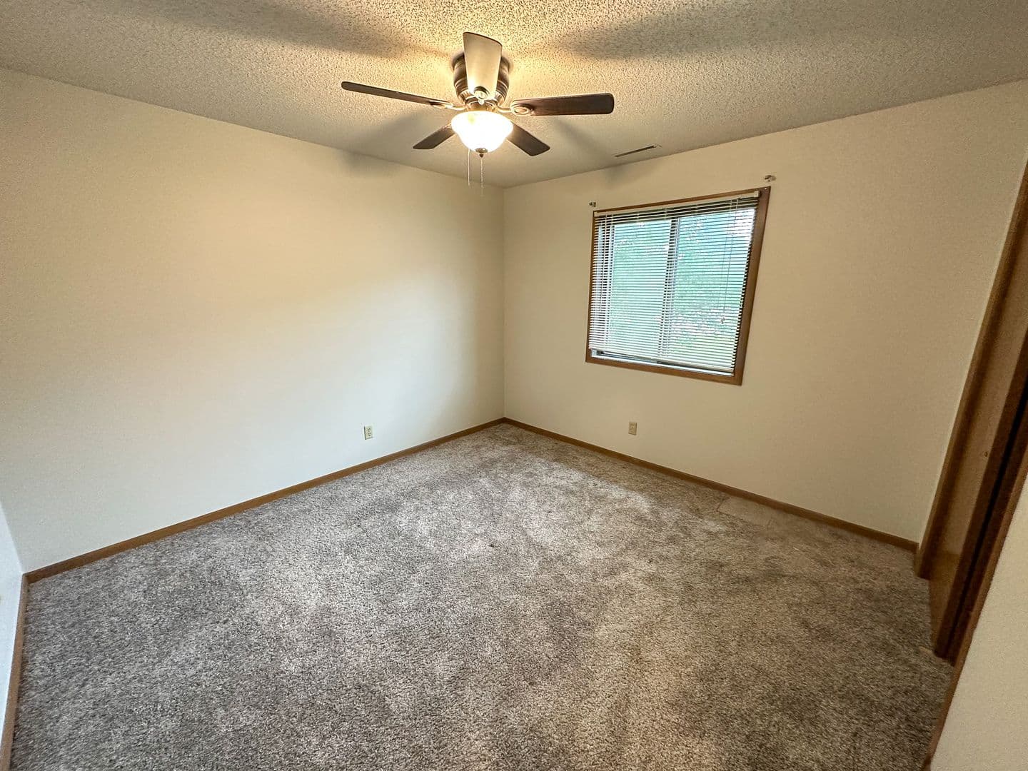 Ames Apartment: 1217 Delaware Ave