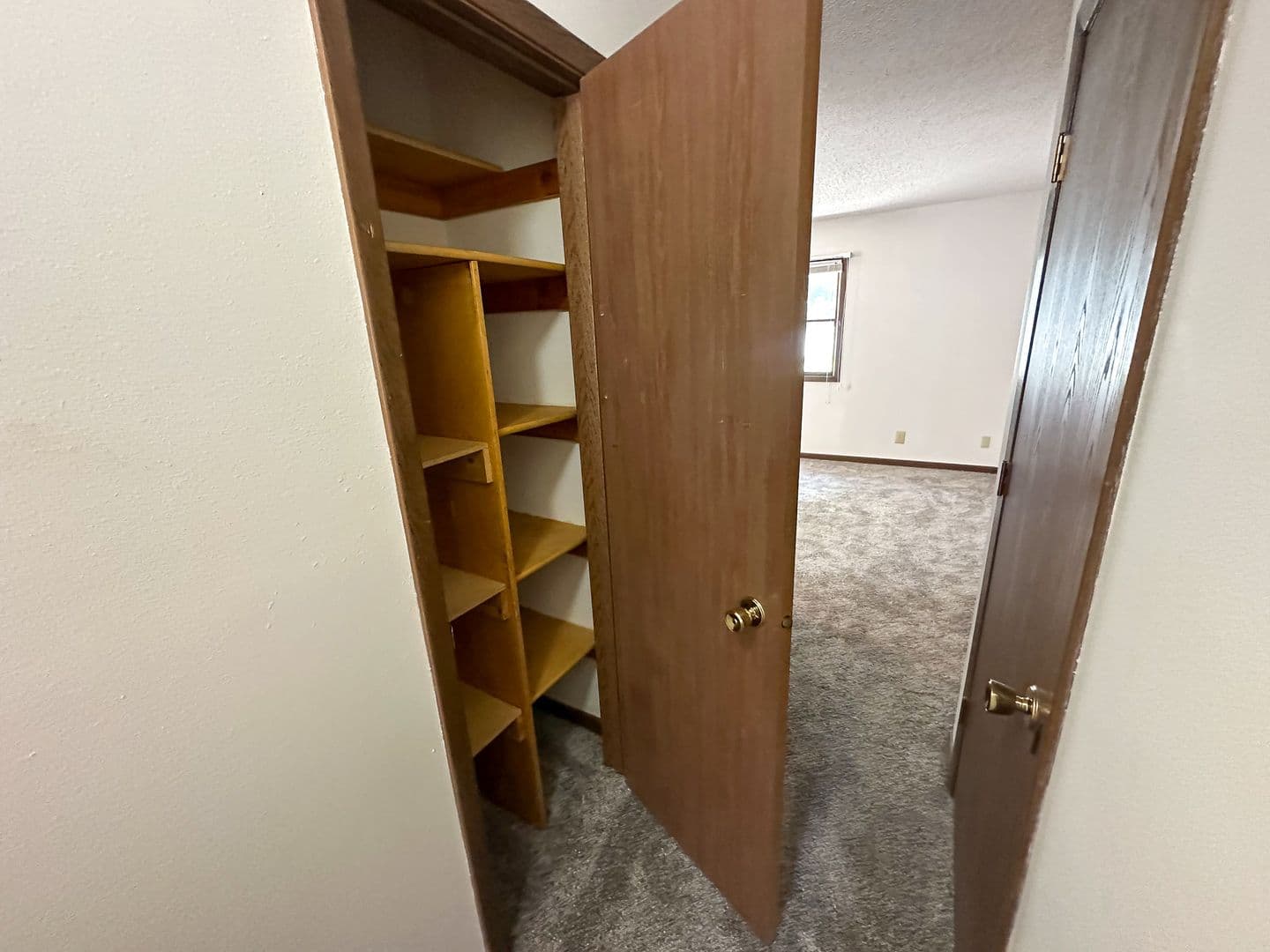 Ames Apartment: 212 S Walnut Ave