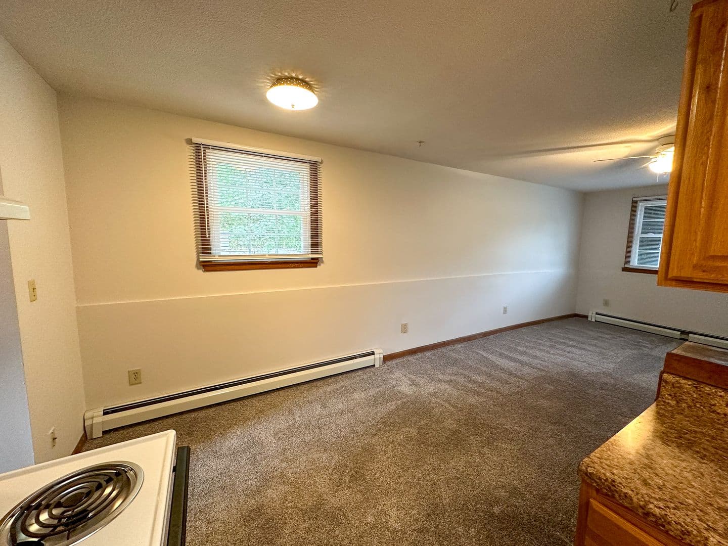 Ames Apartment: 2921 Woodland St