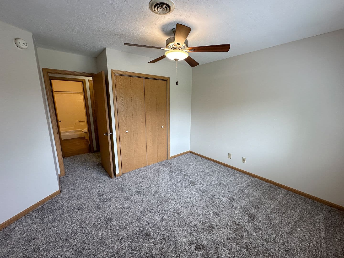 Ames Apartment: 247 Sheldon Ave