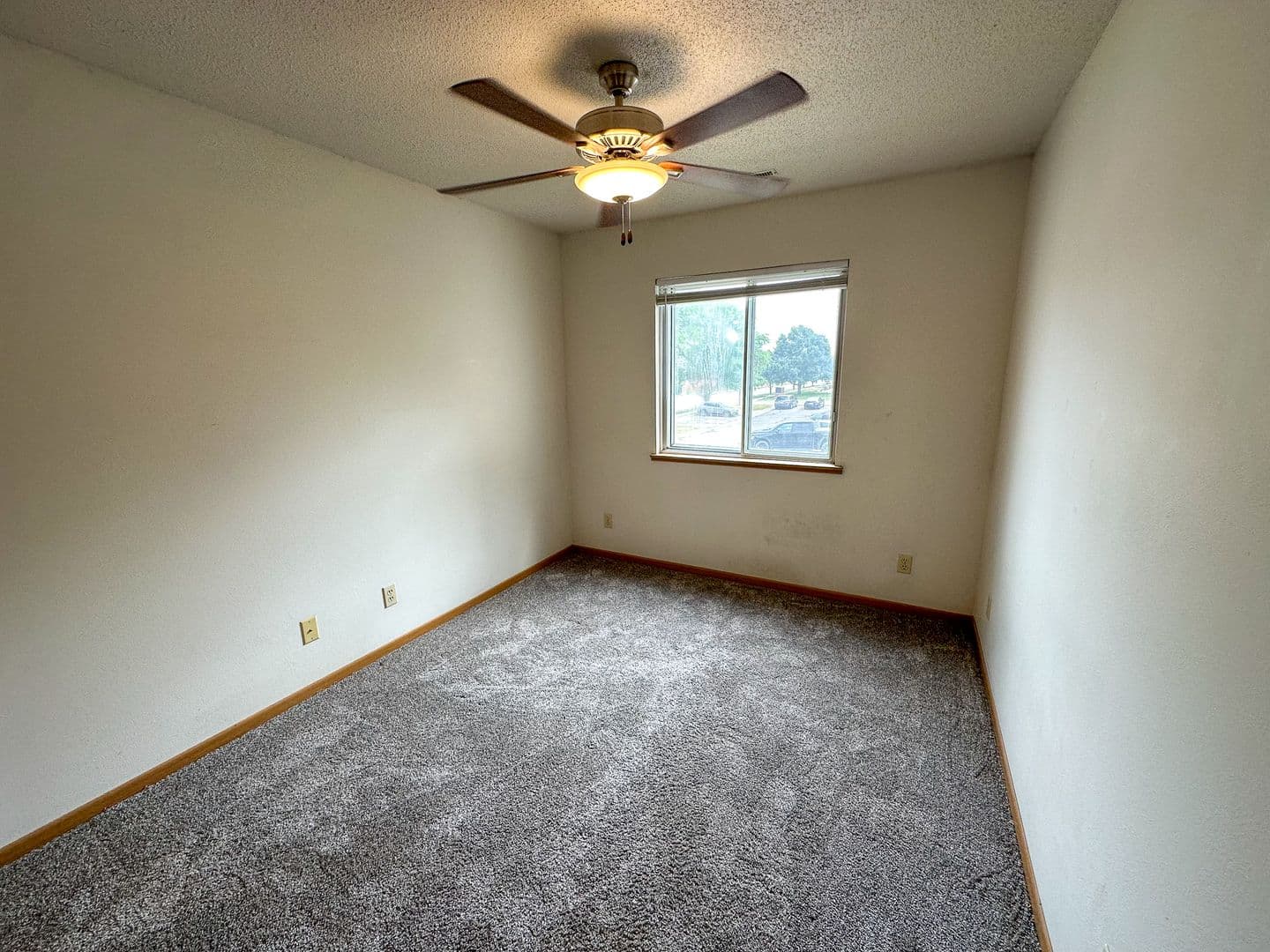 Ames Apartment: 221 Sheldon Ave