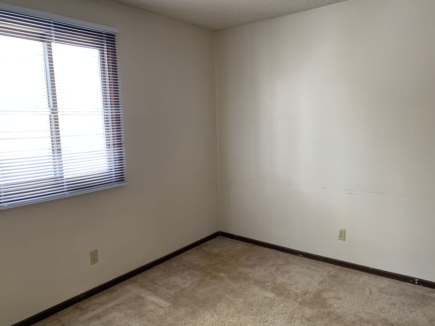 Ames Apartment: 219 Washington Ave