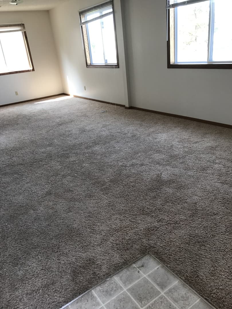 Ames Apartment: 220 S Dakota Ave