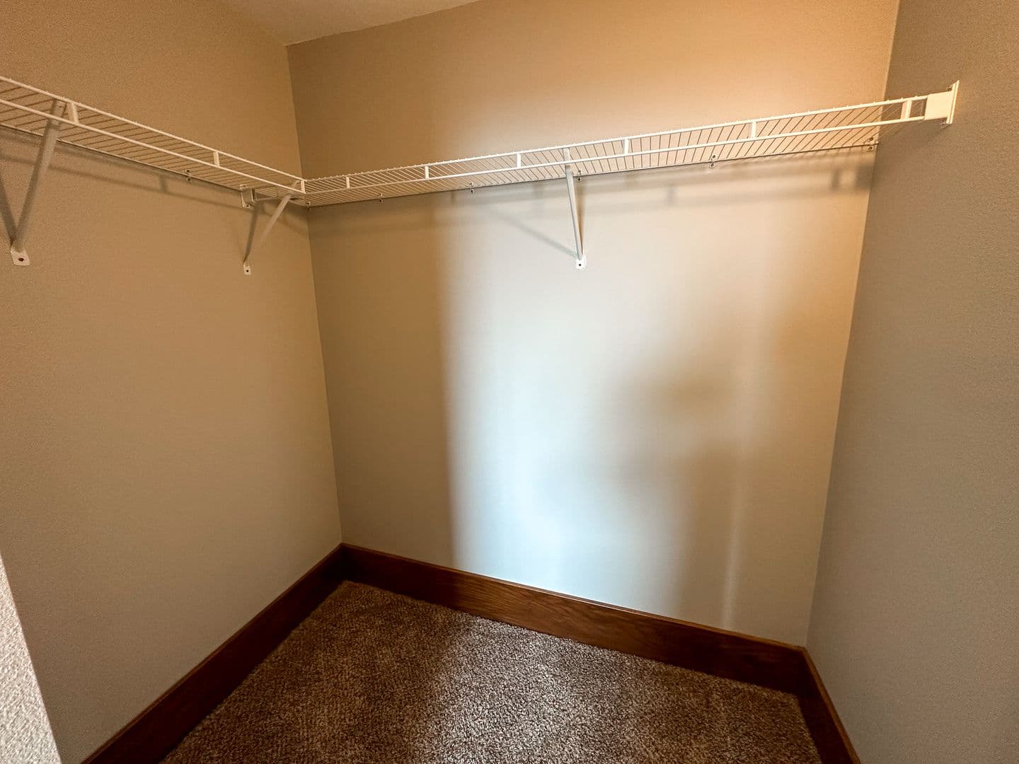 Ames House: 225 Sheldon Ave