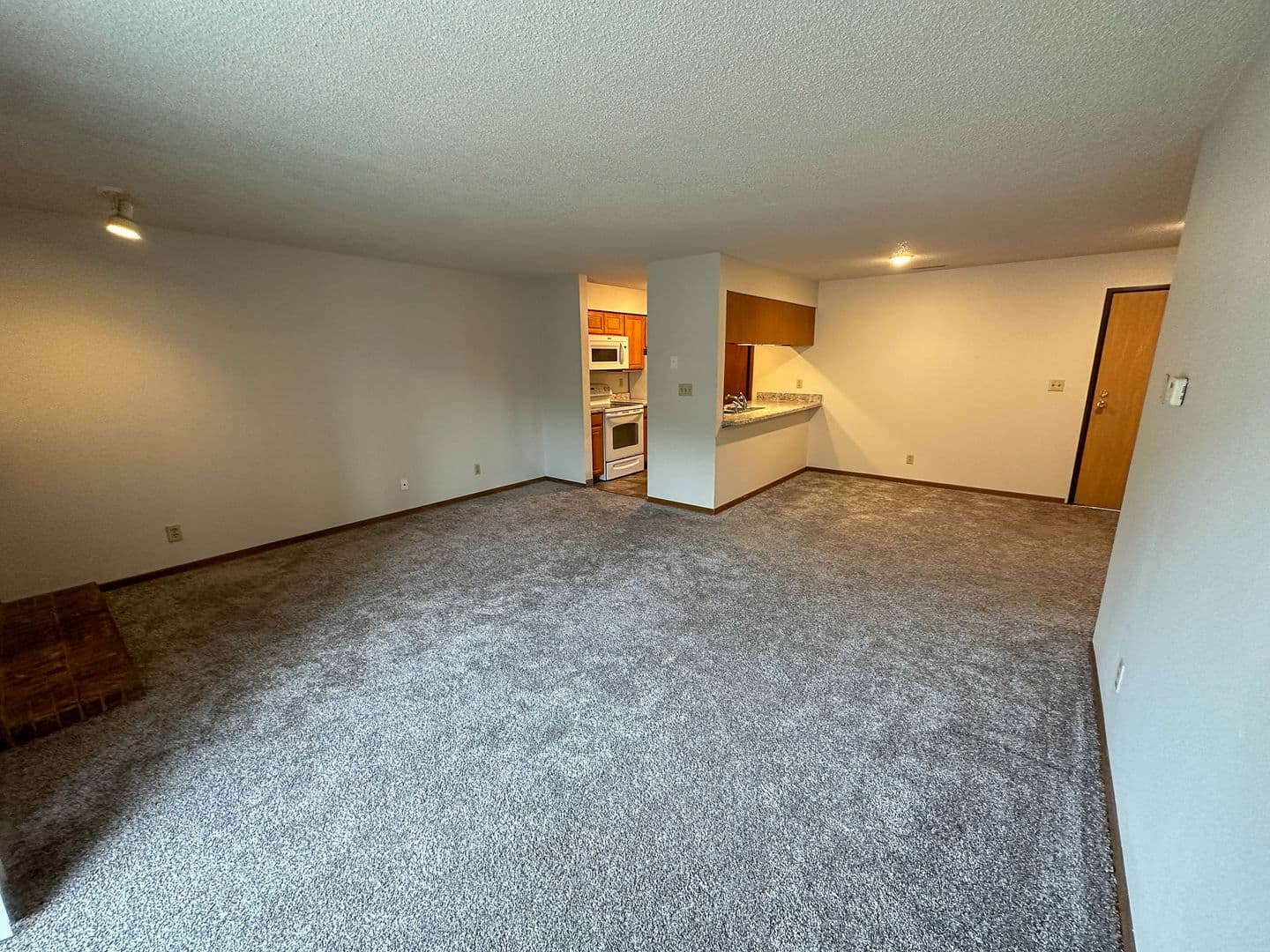 Ames Apartment: 1217 Delaware Ave
