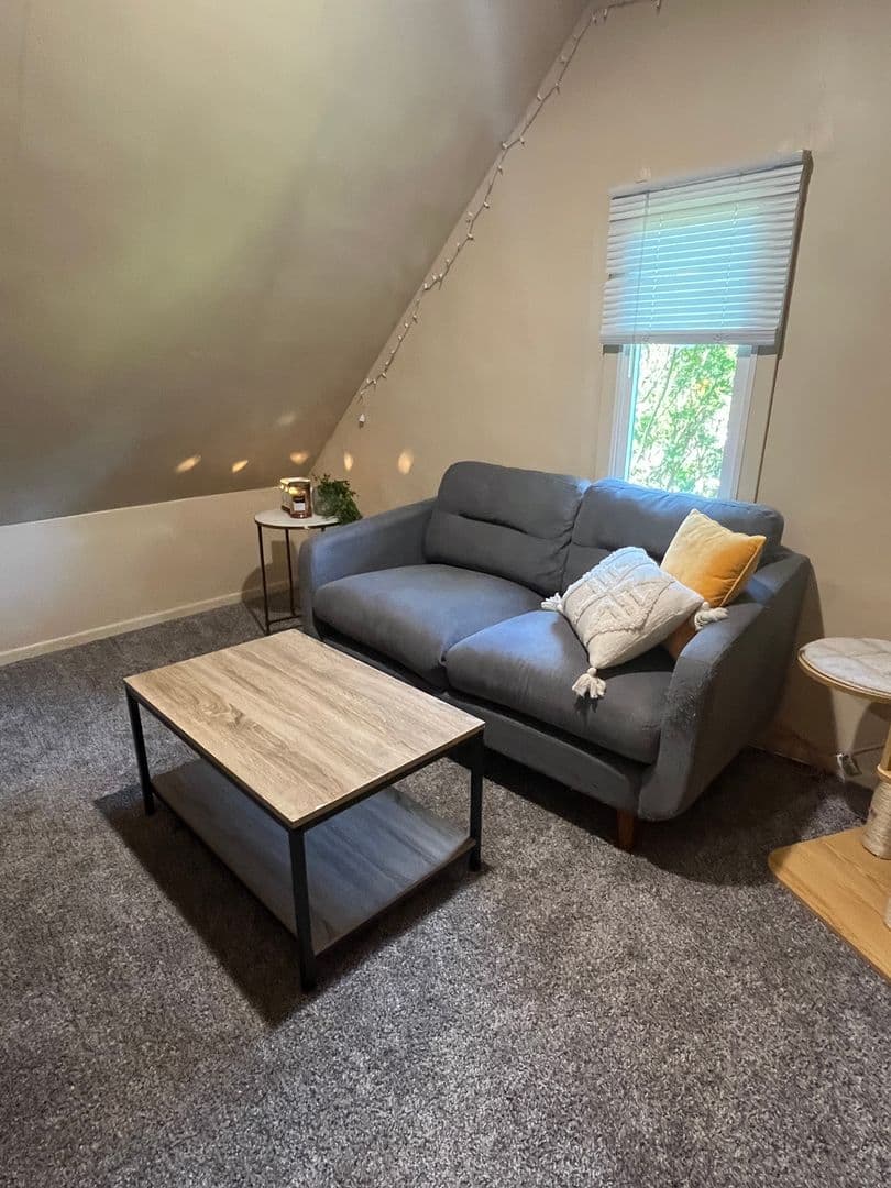 Ames House: 412 Ash Ave