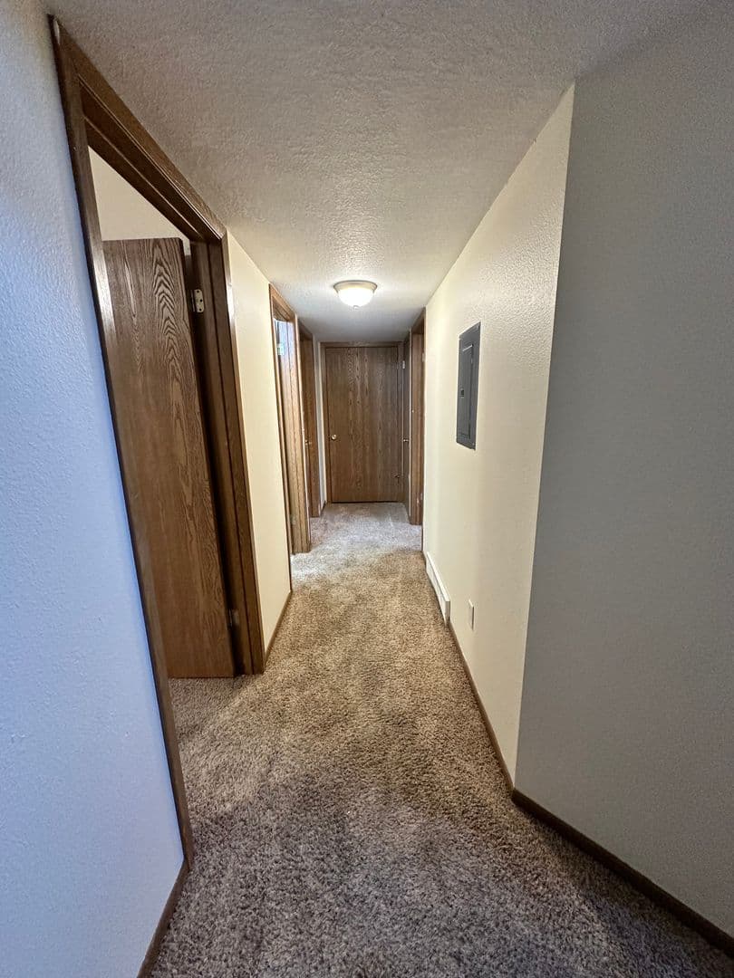 Ames Apartment: 204 Jewel Drive