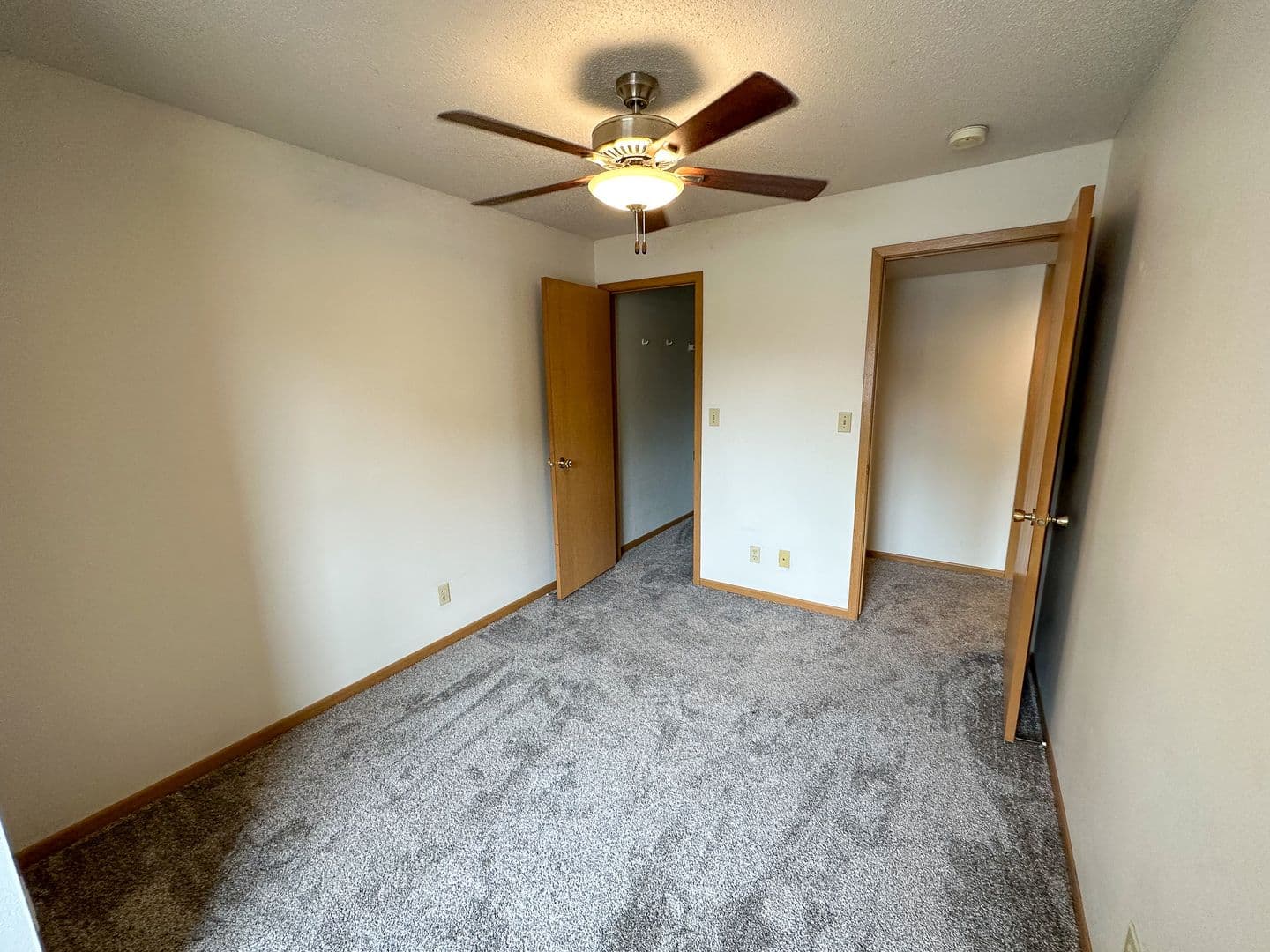 Ames Apartment: 221 Sheldon Ave