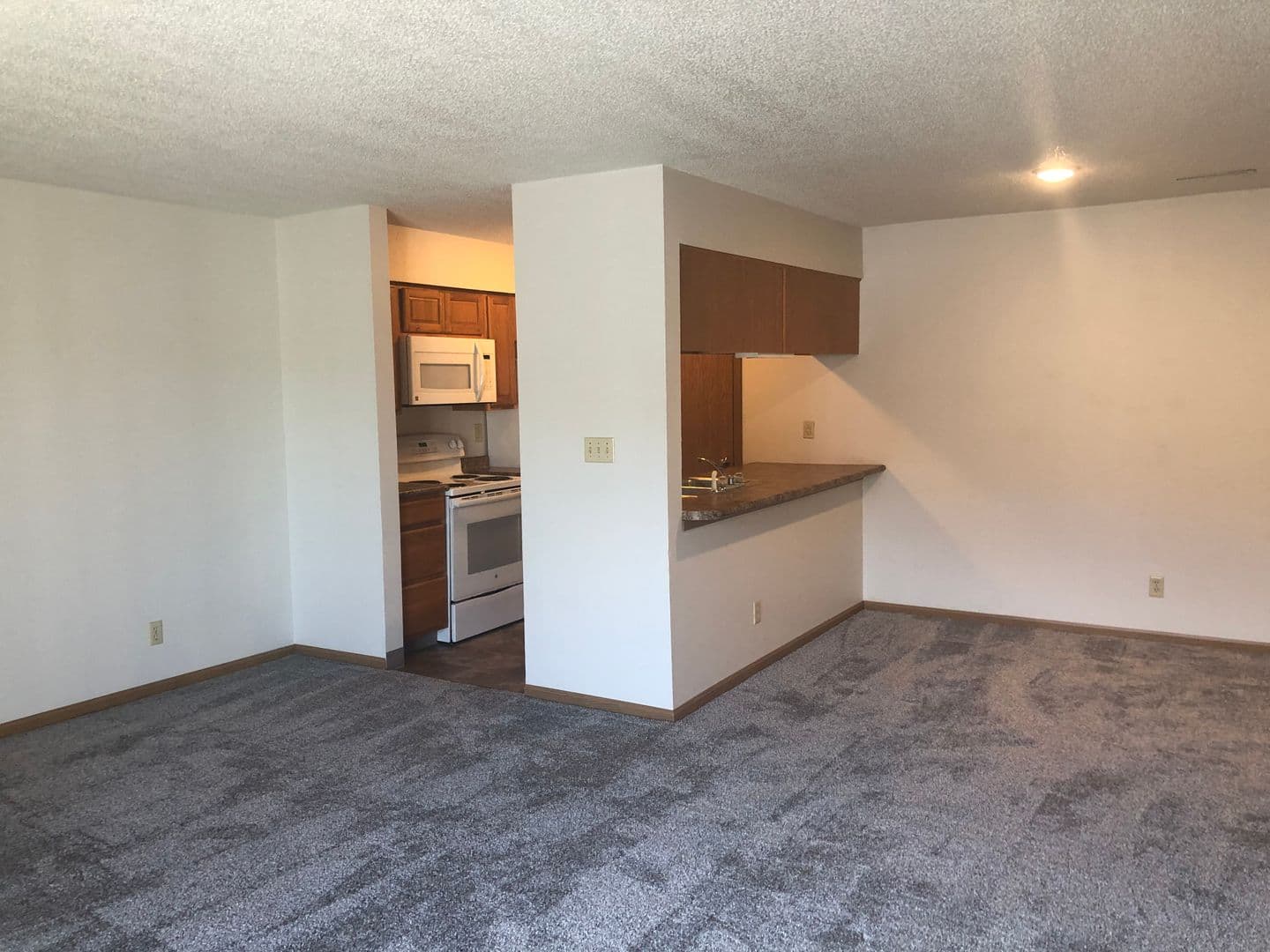 Ames Apartment: 1225 Delaware Ave
