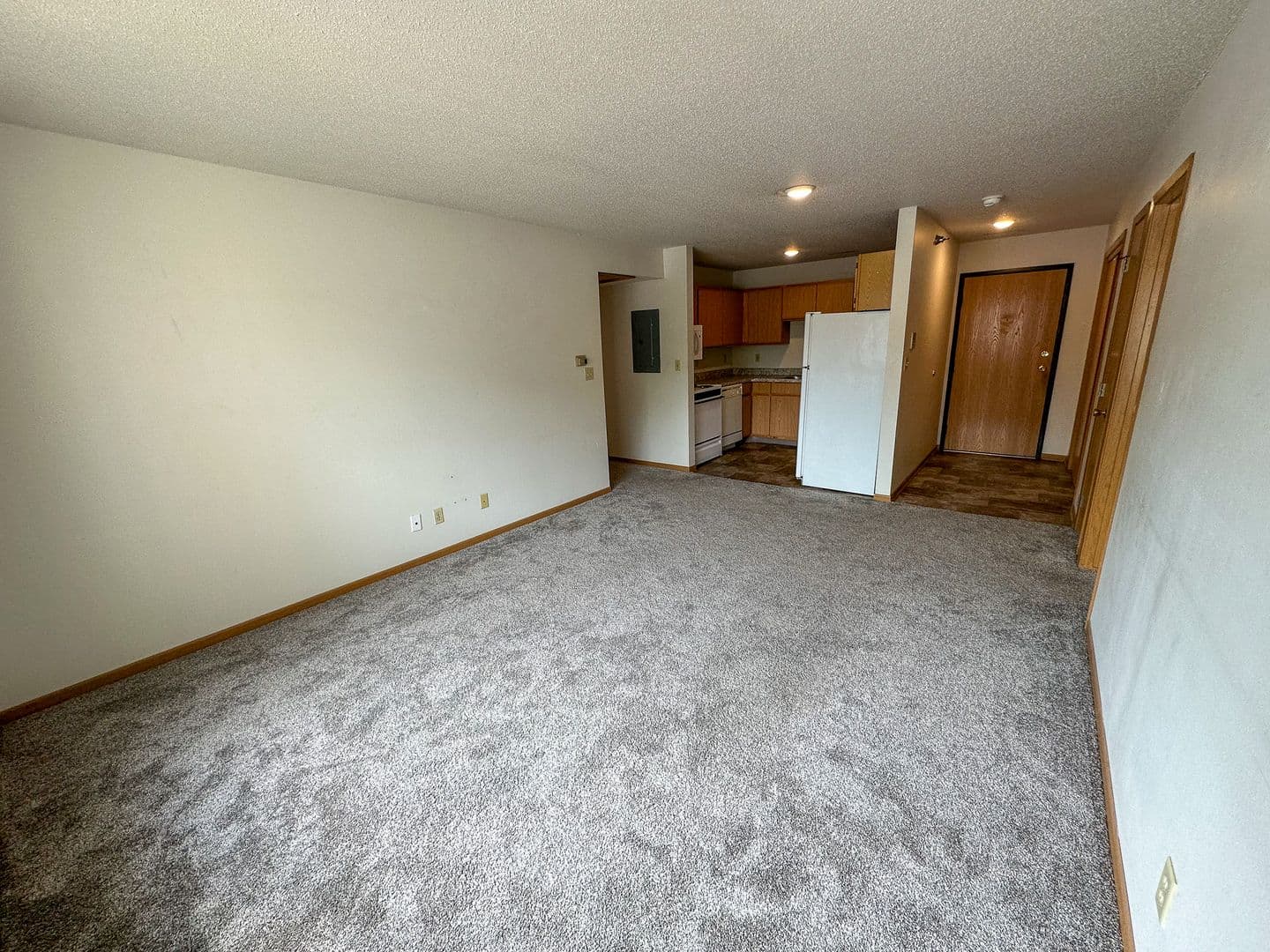 Ames Apartment: 221 Sheldon Ave