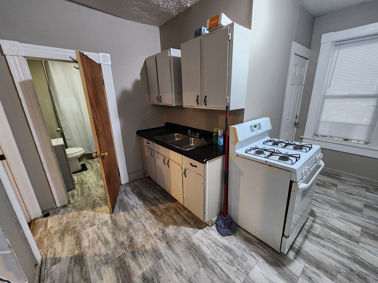Rochester Apartment: 192 N Union St