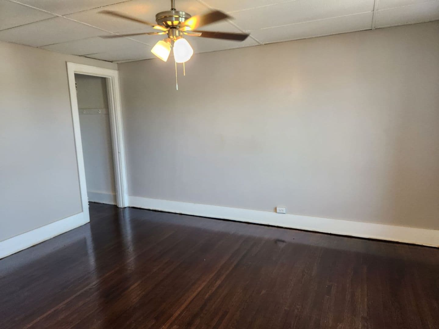 Rochester Apartment: 265 Driving Park Avenue