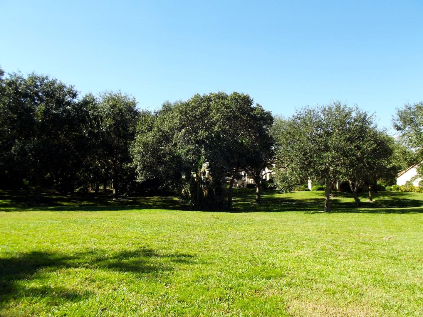 BOCA RATON Townhome: 3355 JAYWOOD TER # 2140