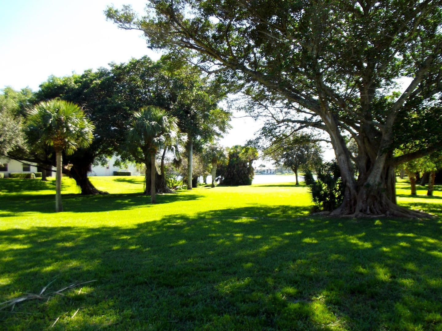BOCA RATON Townhome: 3355 JAYWOOD TER # 2140