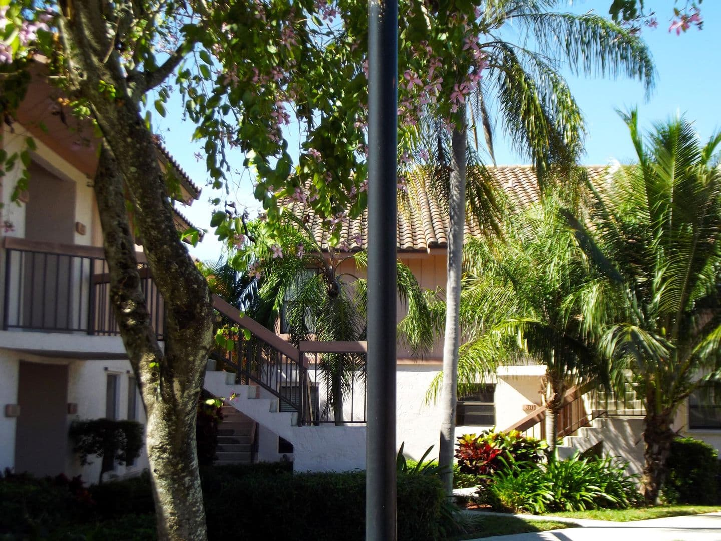 BOCA RATON Townhome: 3355 JAYWOOD TER # 2140