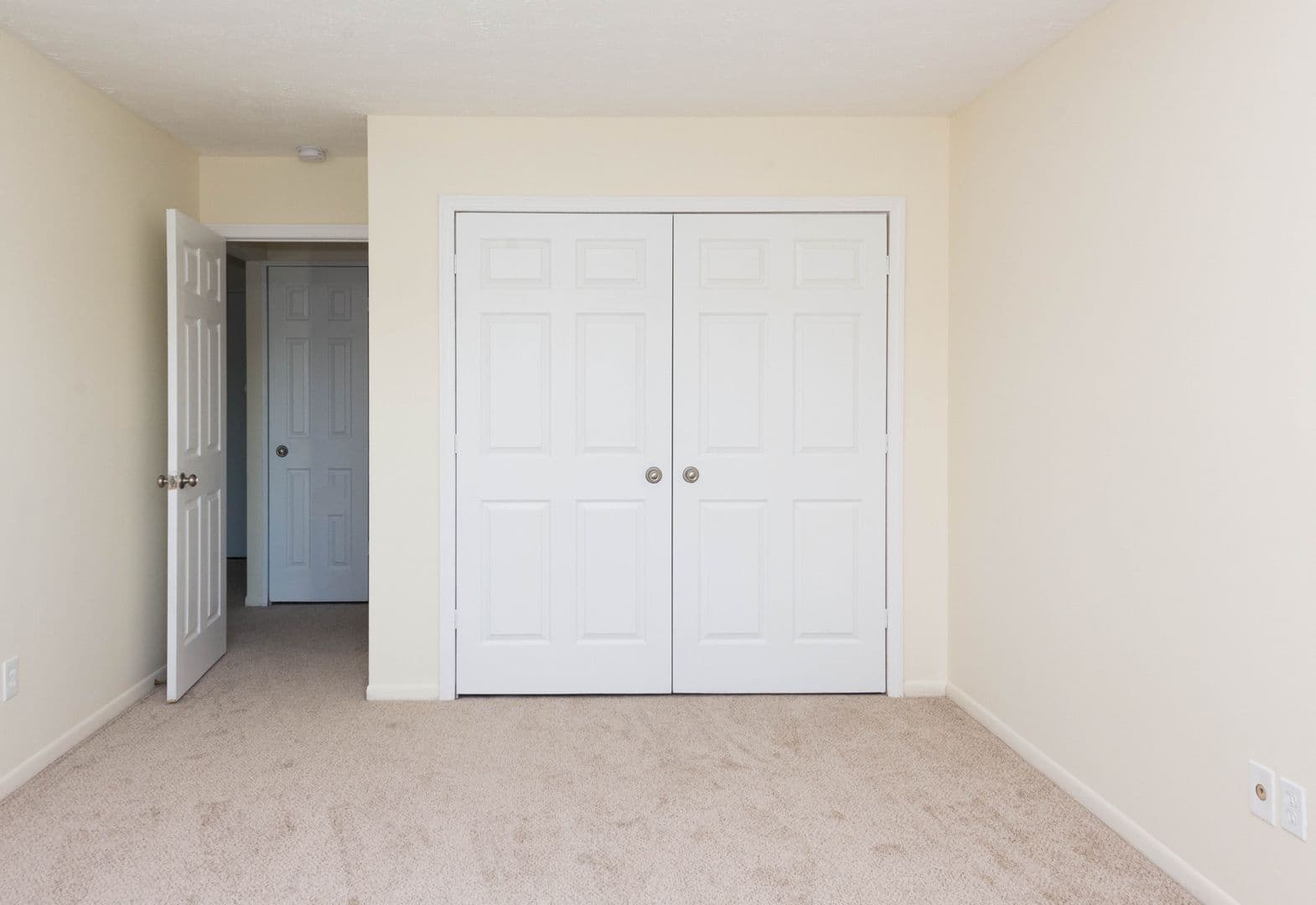 Hamden Apartment: 905 Mix Avenue