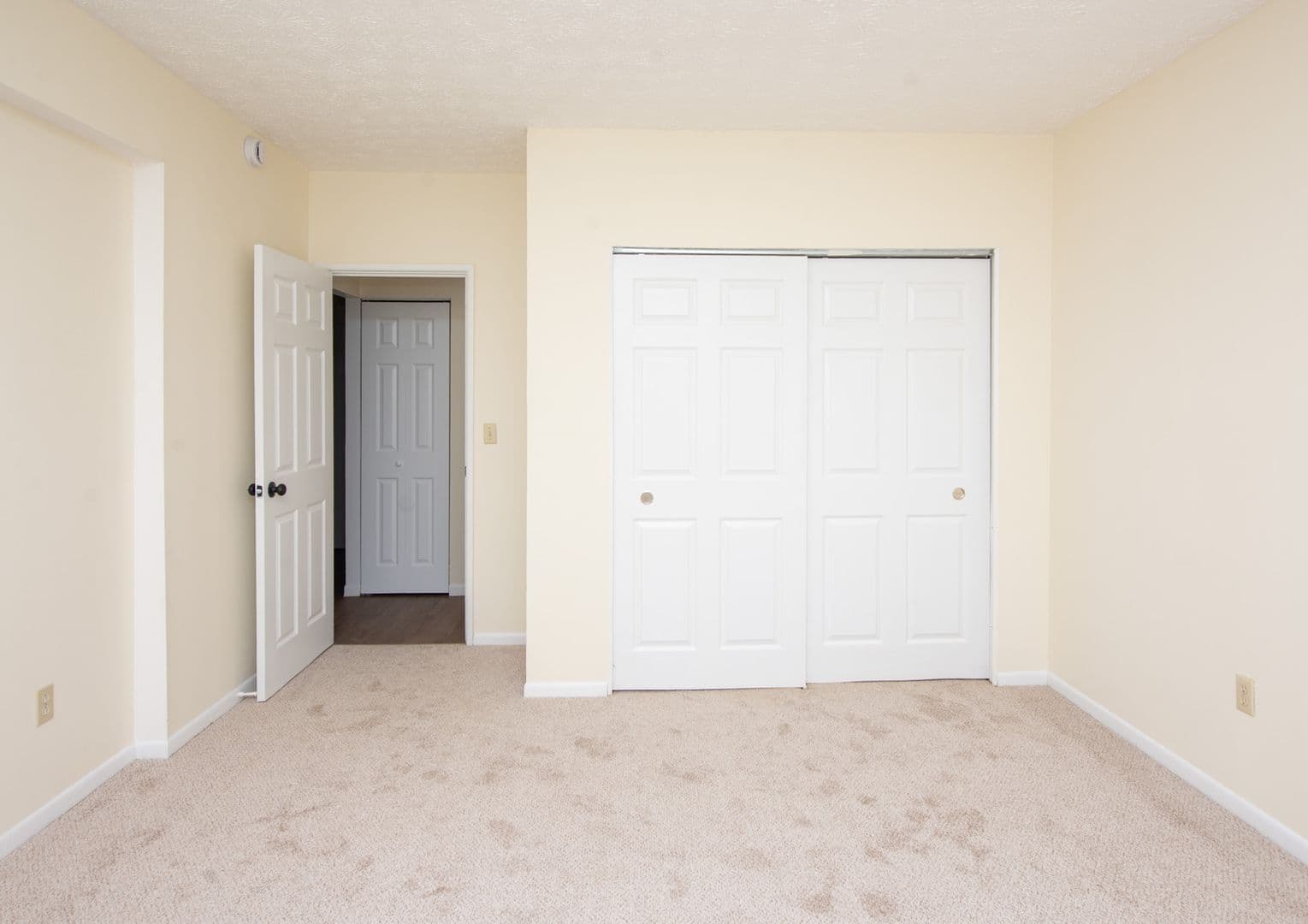 Hamden Apartment: 905 Mix Avenue
