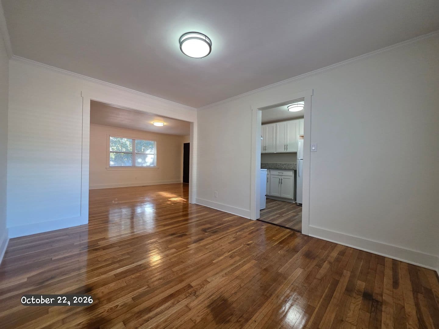 Savannah Apartment: 3601 Bull St