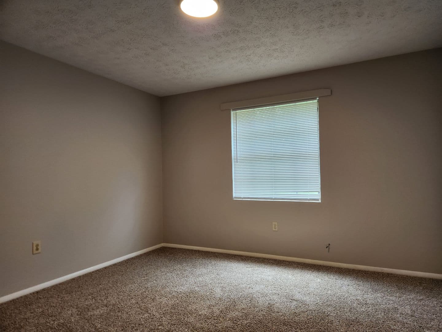 Savannah Apartment: 3646 Duane Court
