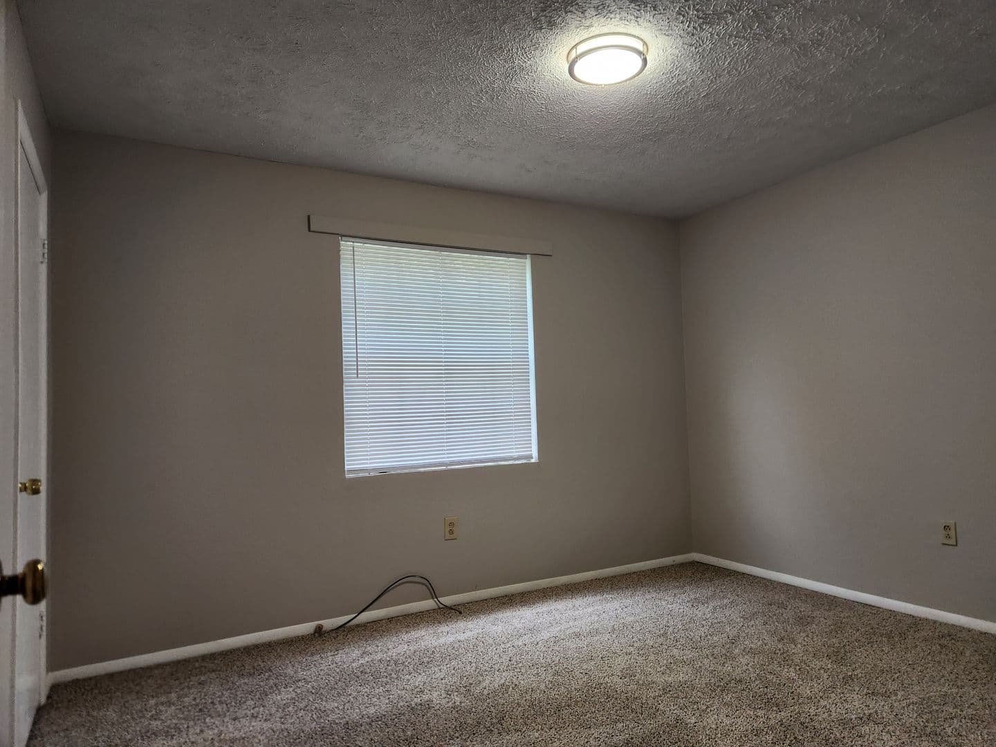 Savannah Apartment: 3646 Duane Court