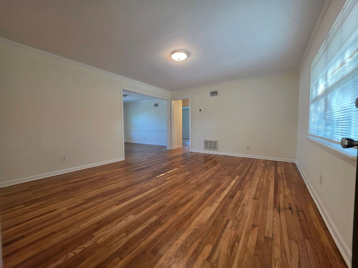 Savannah Apartment: 3601 Bull St
