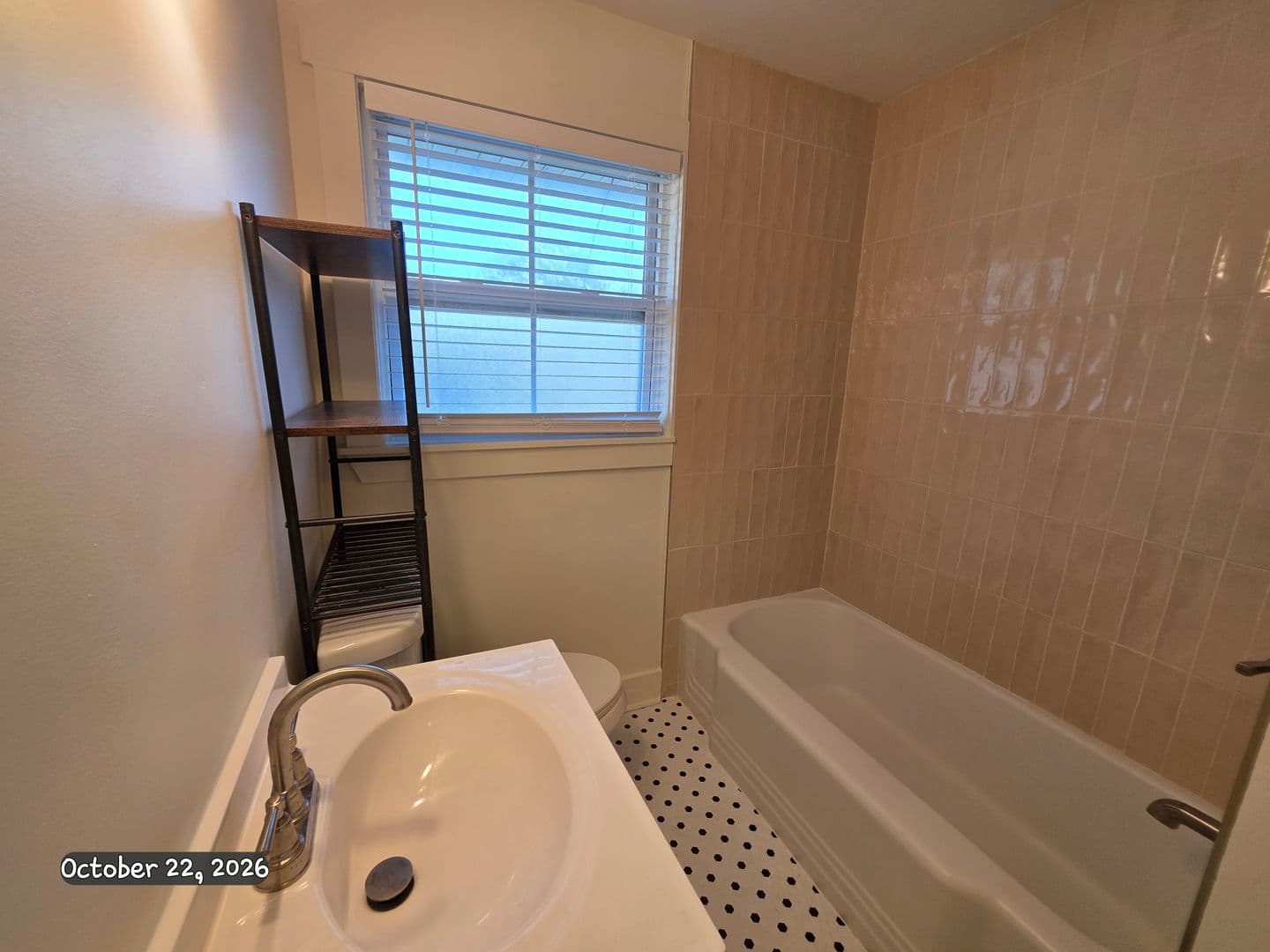 Savannah Apartment: 3601 Bull St