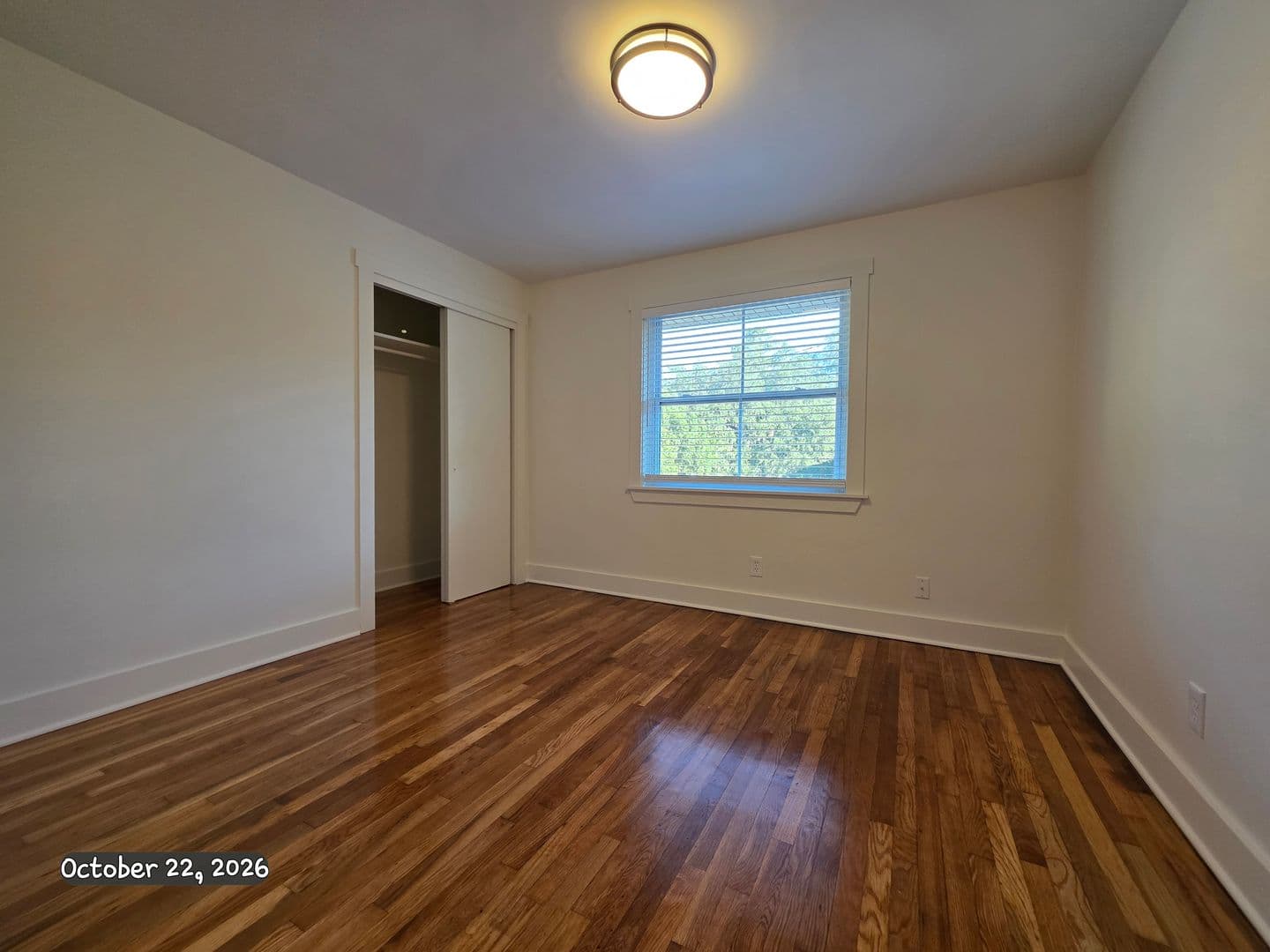 Savannah Apartment: 3601 Bull St