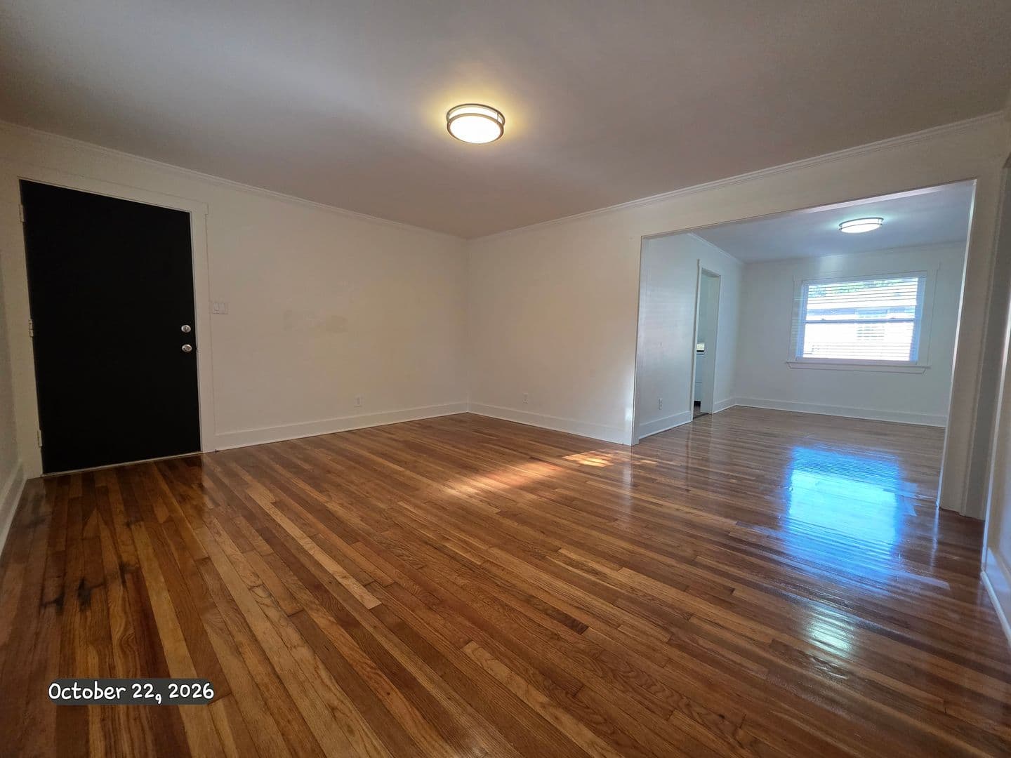 Savannah Apartment: 3601 Bull St