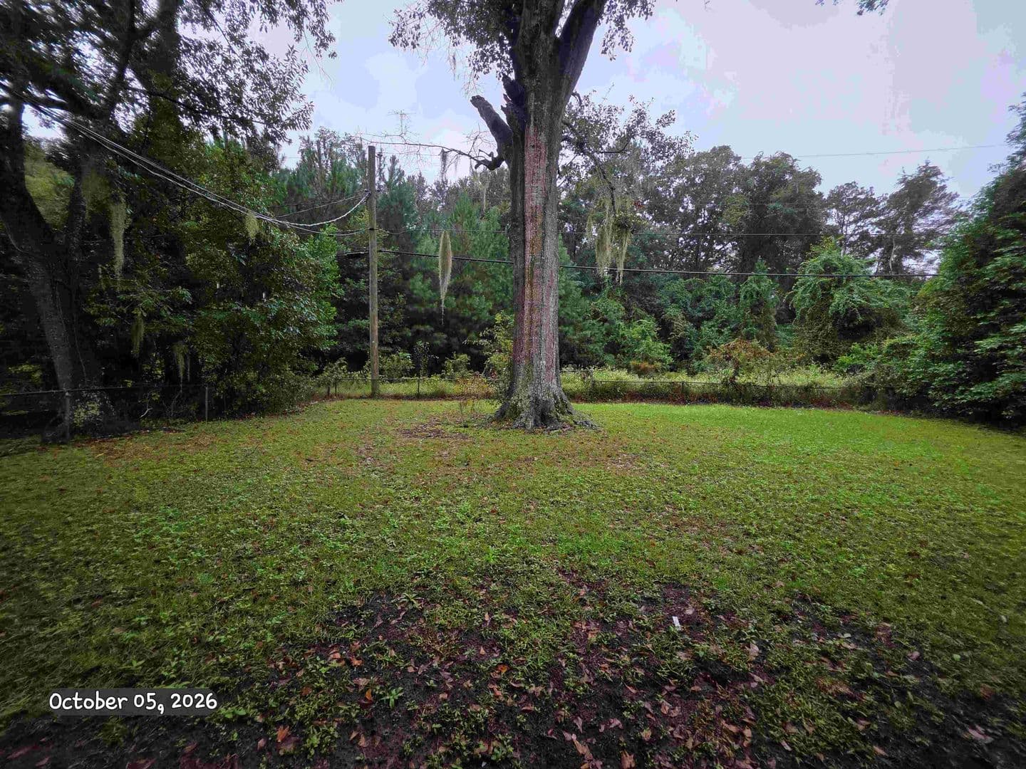 Savannah House: 2225 Vicksburg Dr.