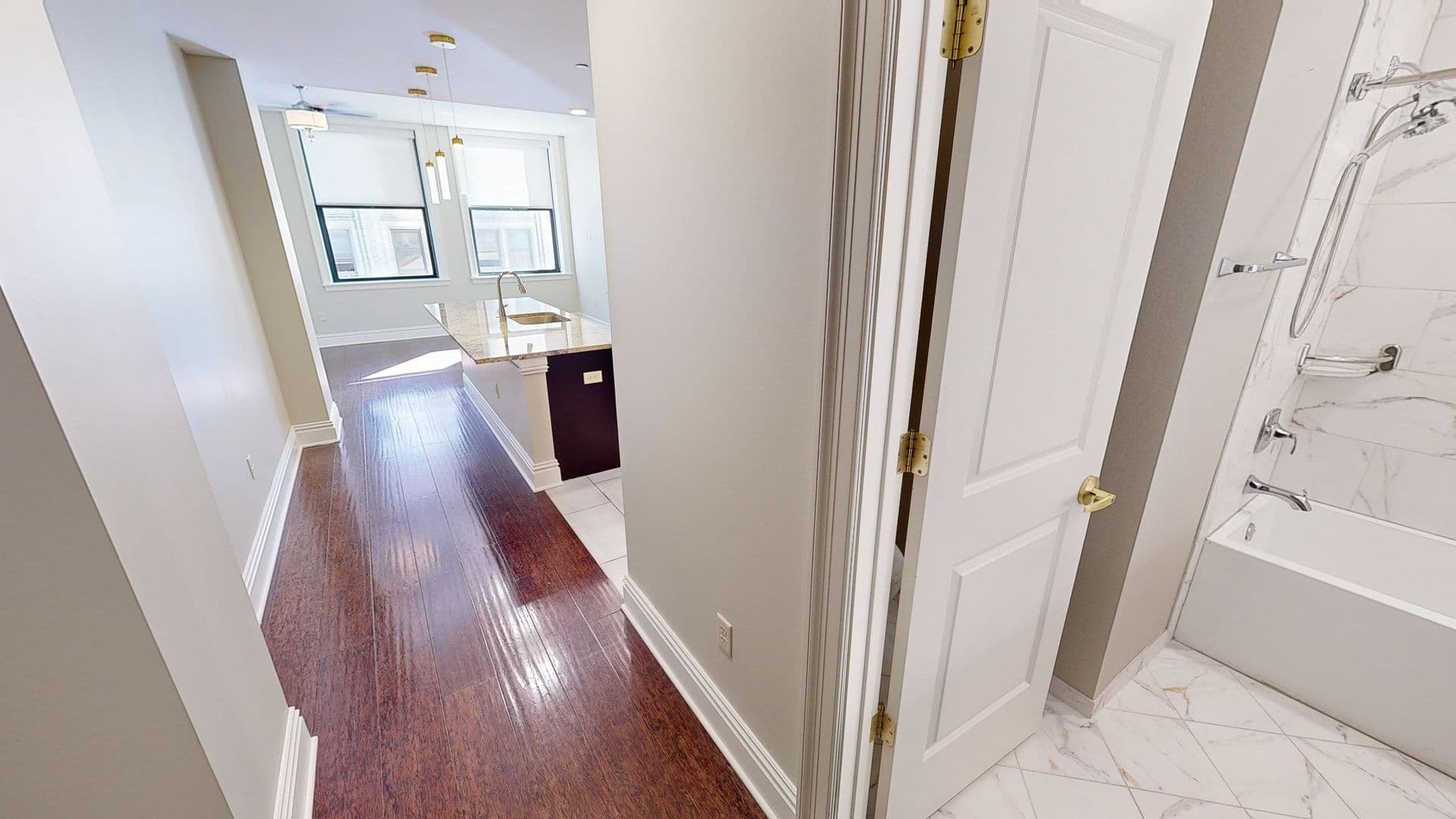 St. Louis Apartment: 705 Olive Street