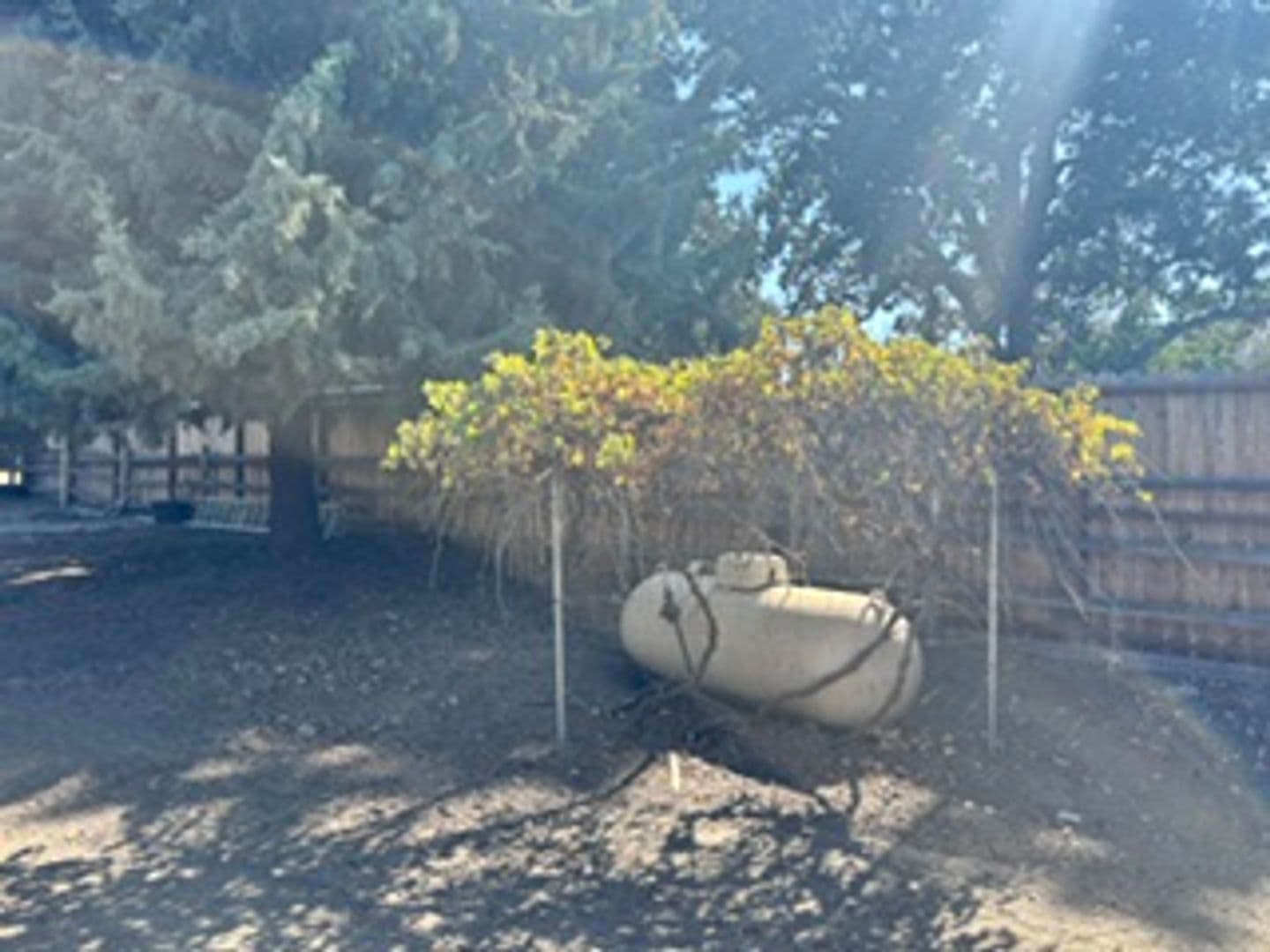 Tehachapi House: 17861 Tanforan Drive