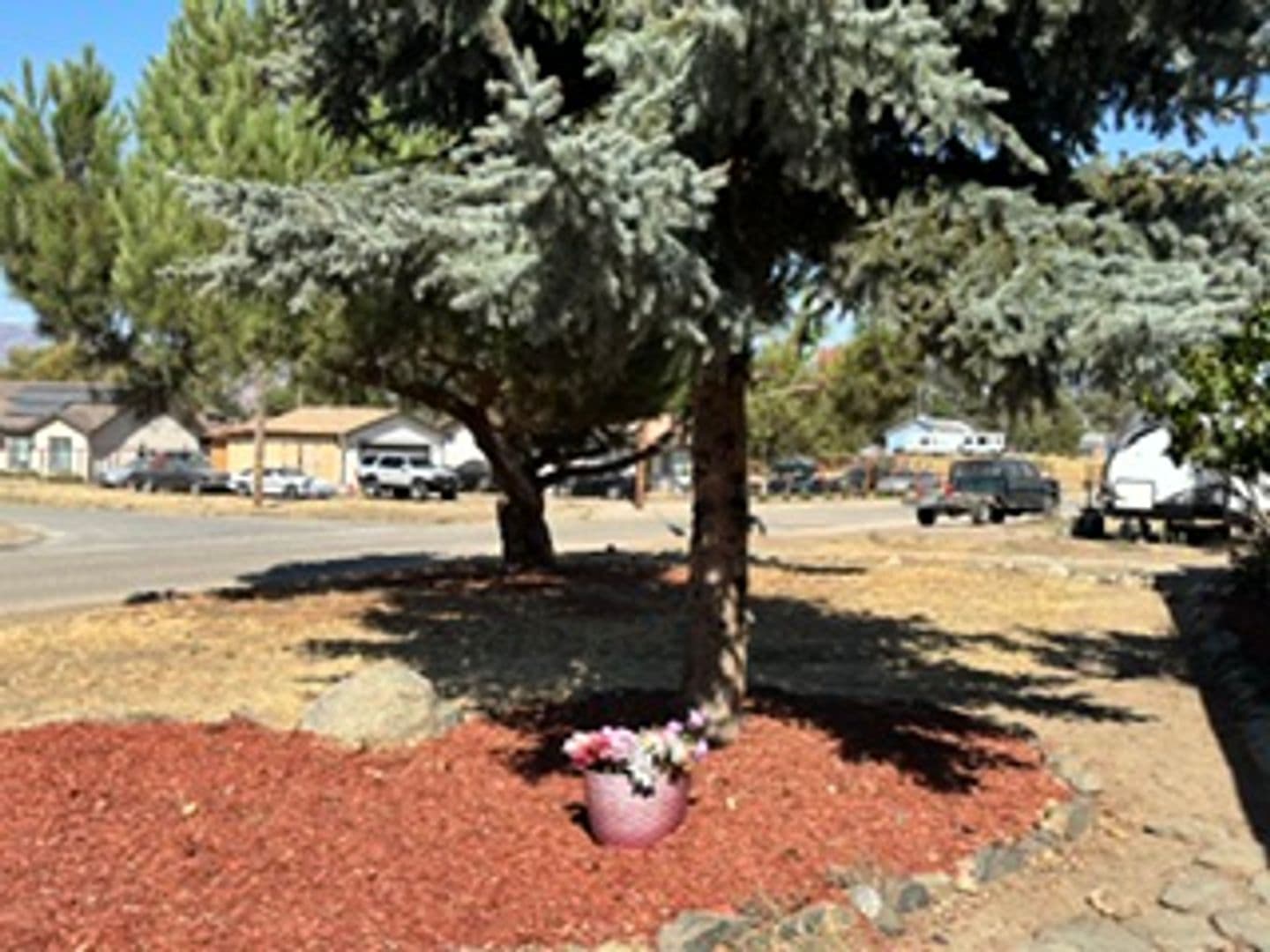 Tehachapi House: 17861 Tanforan Drive