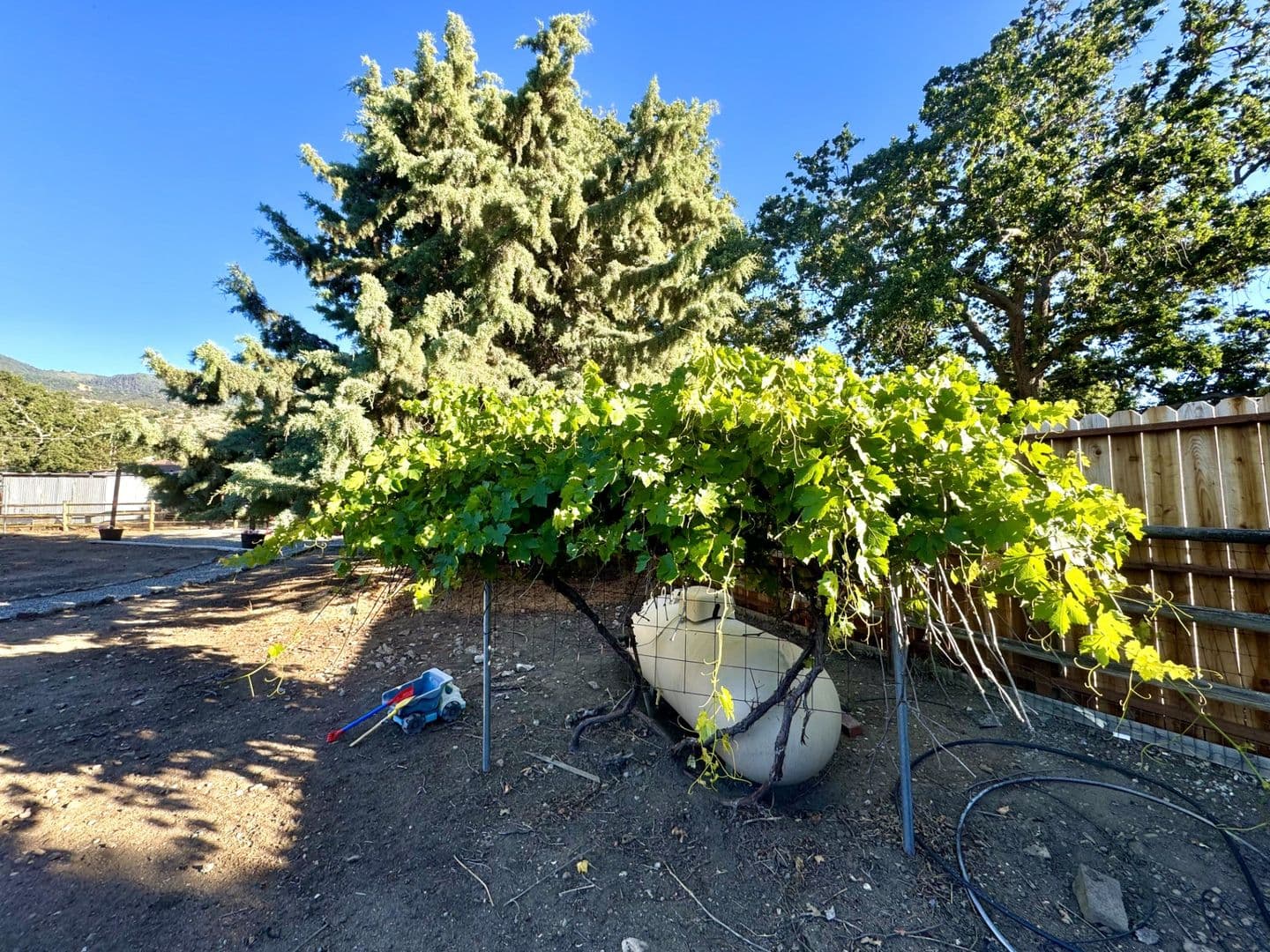 Tehachapi House: 17861 Tanforan Drive